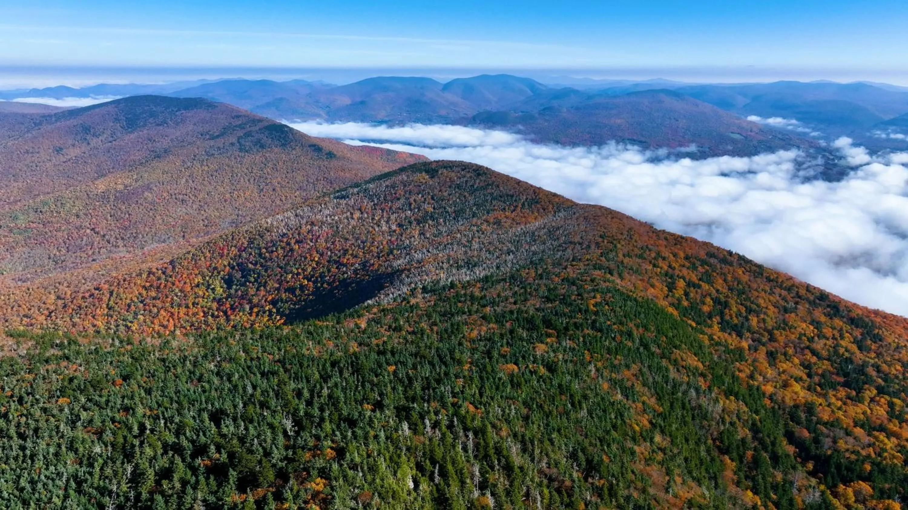 Nearby landmark in The Equinox Golf Resort & Spa