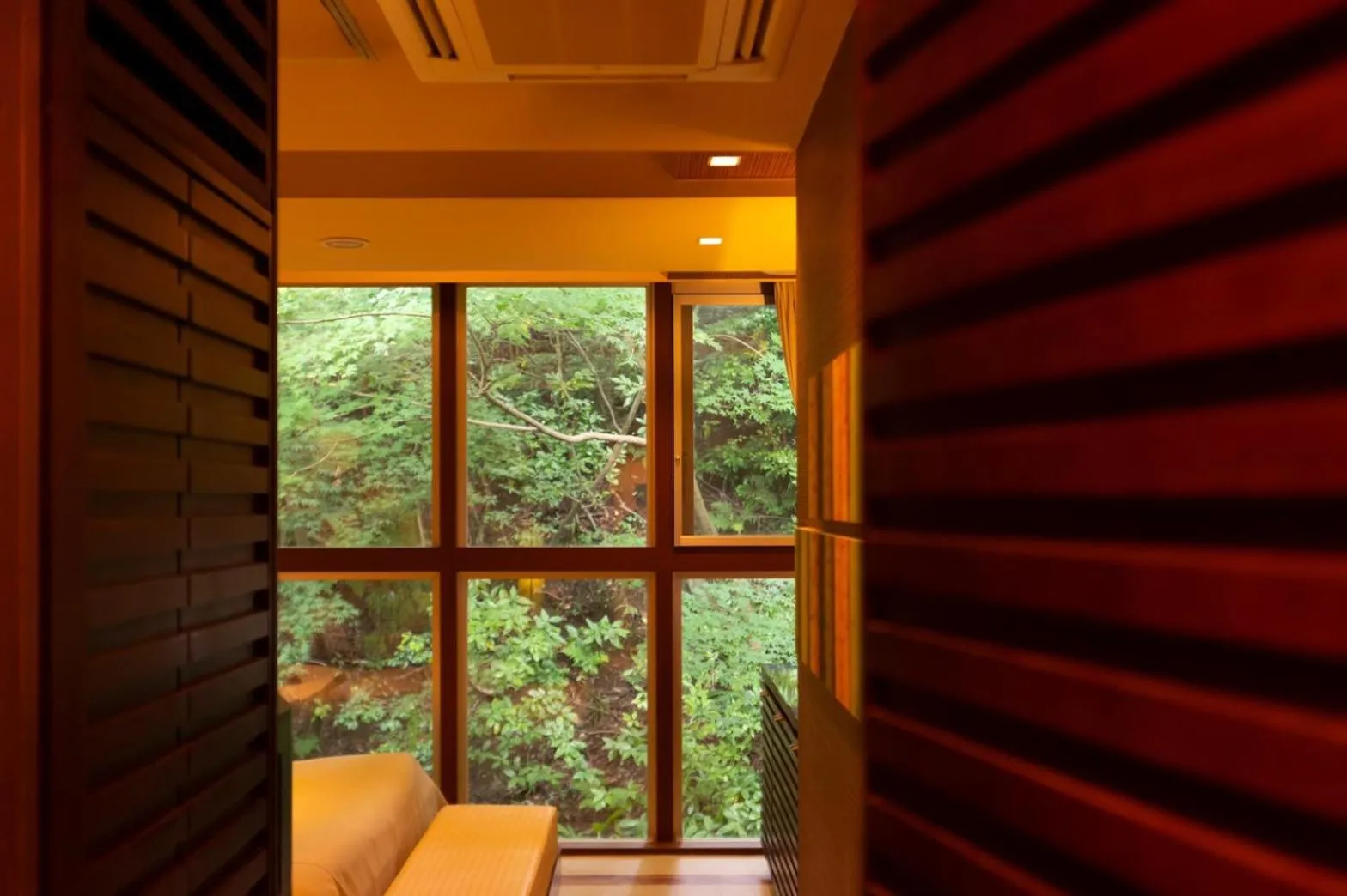 Mountain view in Hotel Gendairakuen Isehara