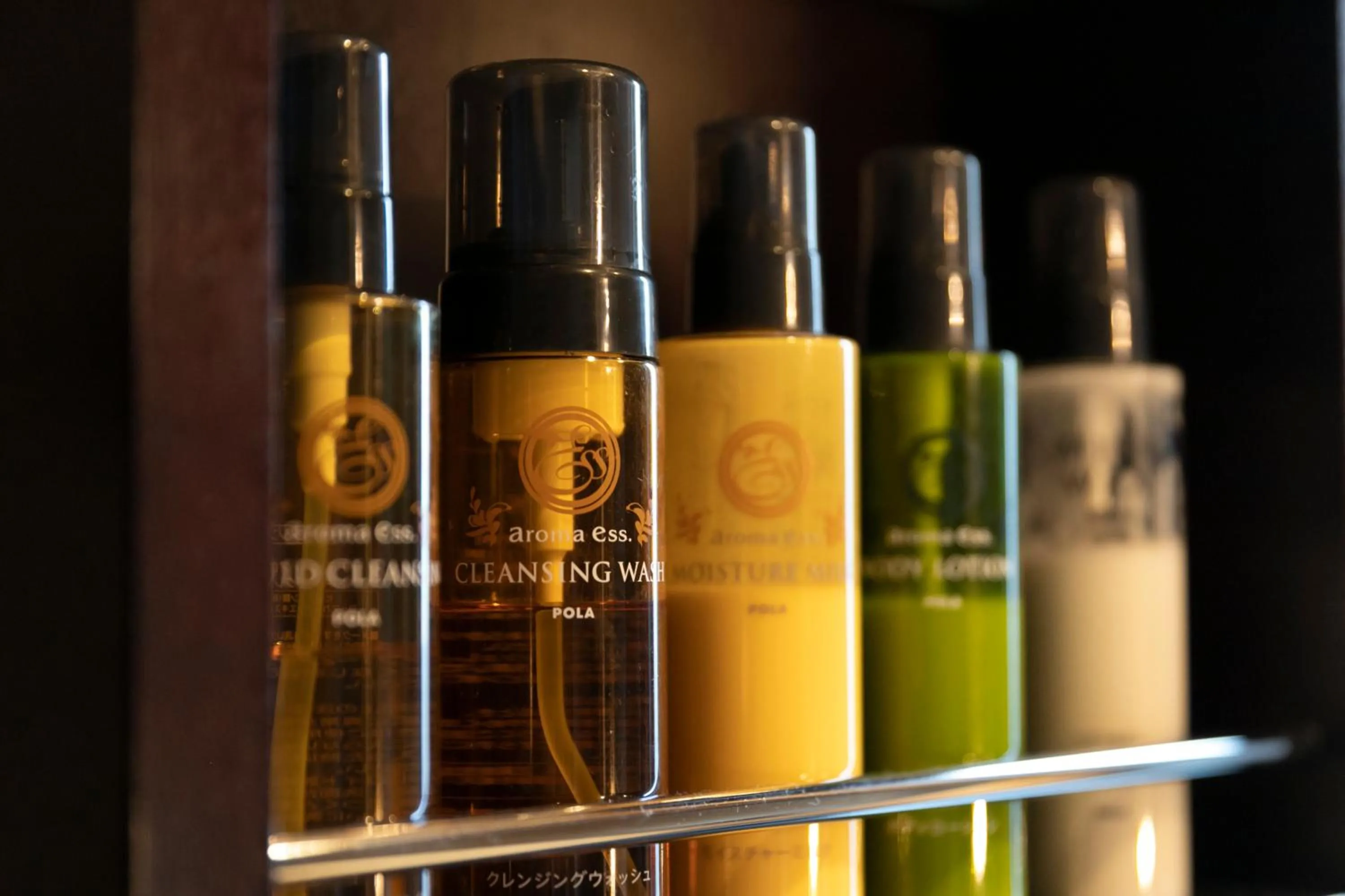 Area and facilities in Hotel Gendairakuen Isehara