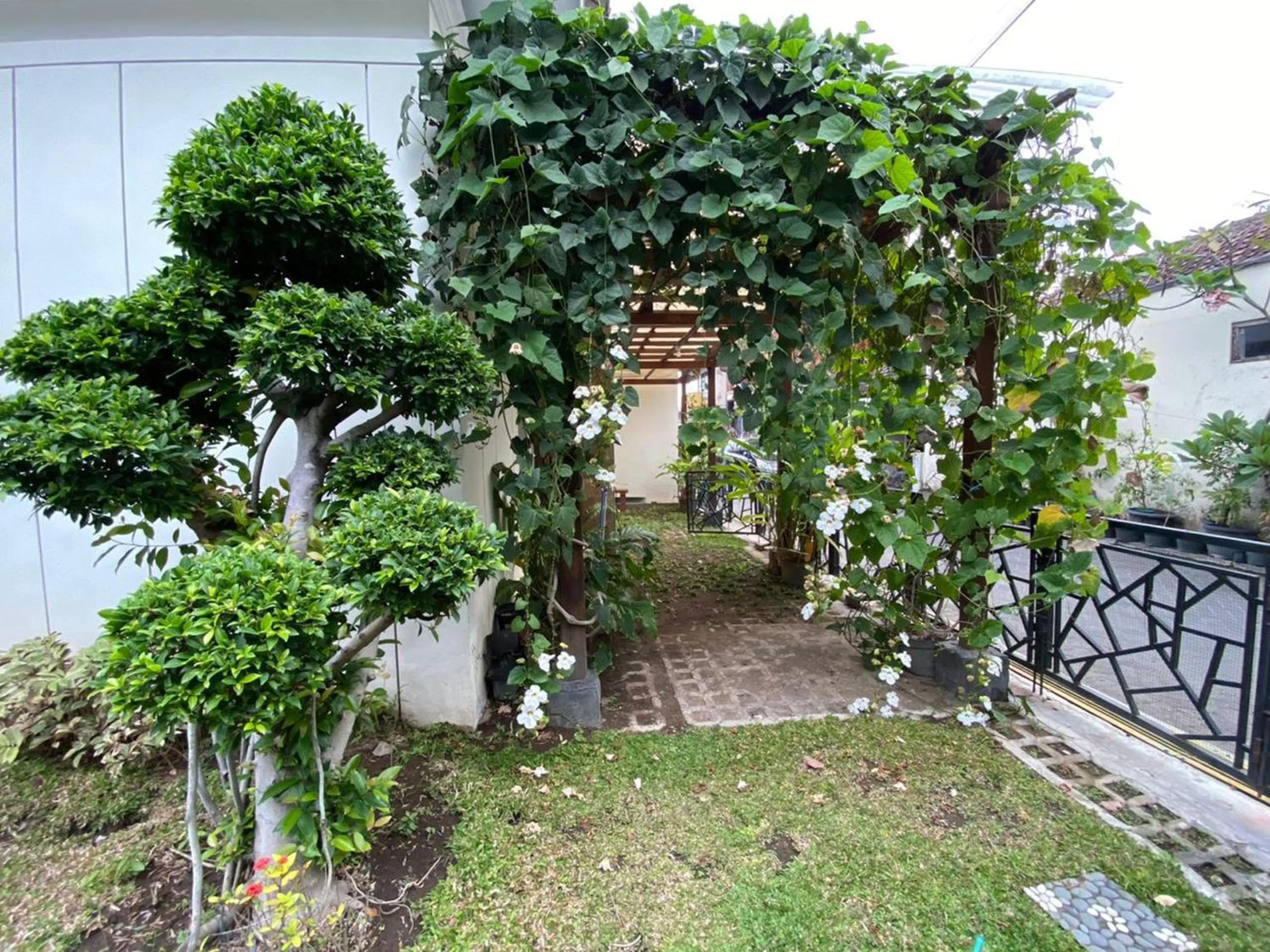 Garden in Omah Inap D24 Syariah near Universitas Aisyiah Yogyakarta Mitra RedDoorz