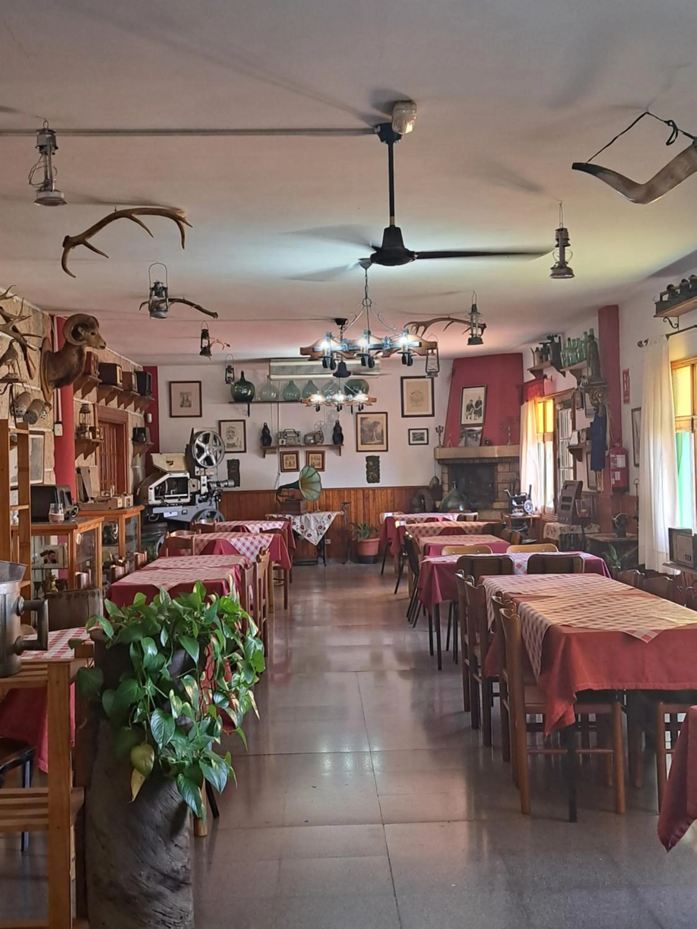 Restaurant/places to eat in Hotel El Sombrerito