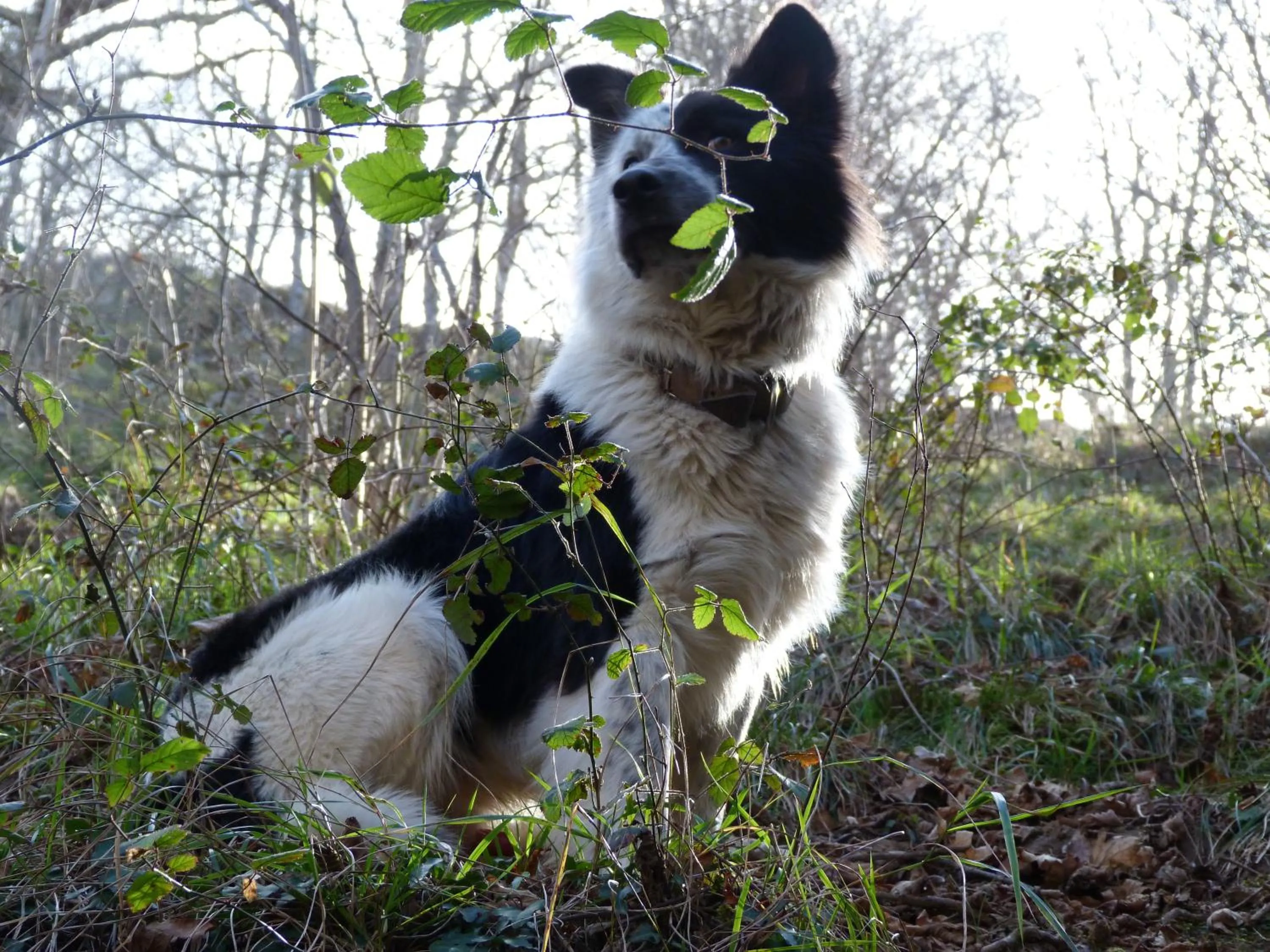 Area and facilities in Hotel Rural Los Texos