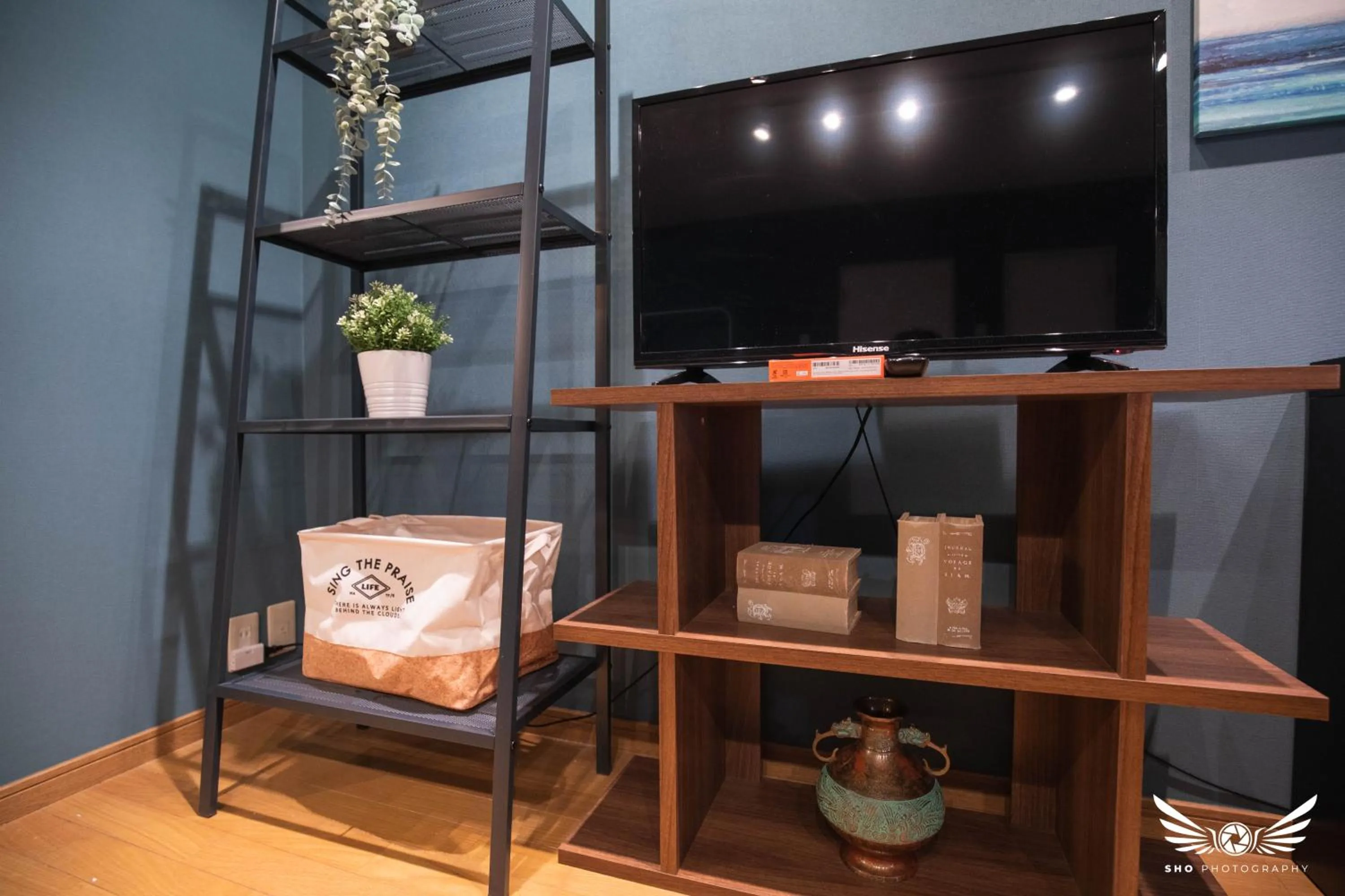 TV and multimedia in Hakata apartment