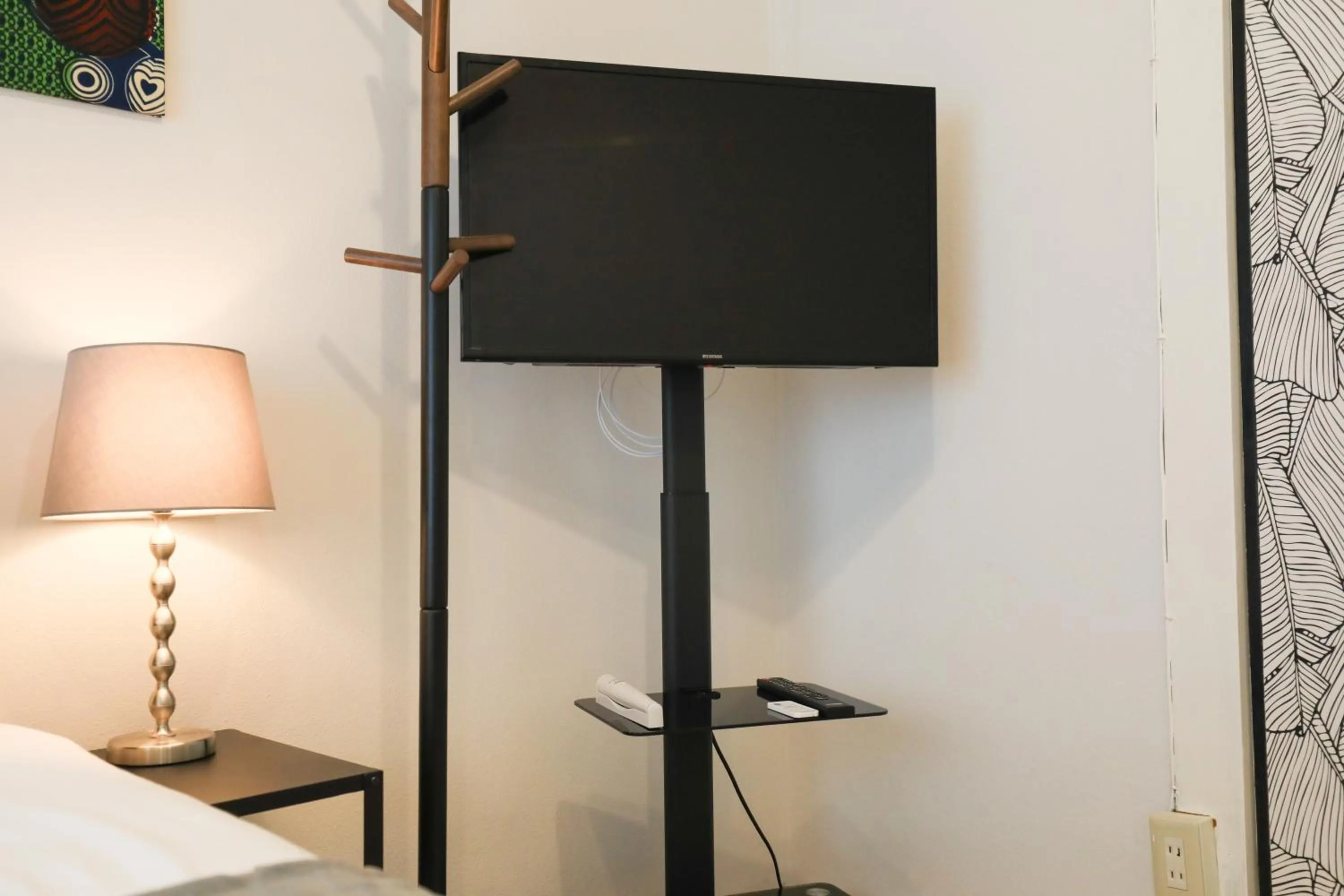 TV and multimedia in Hakata apartment