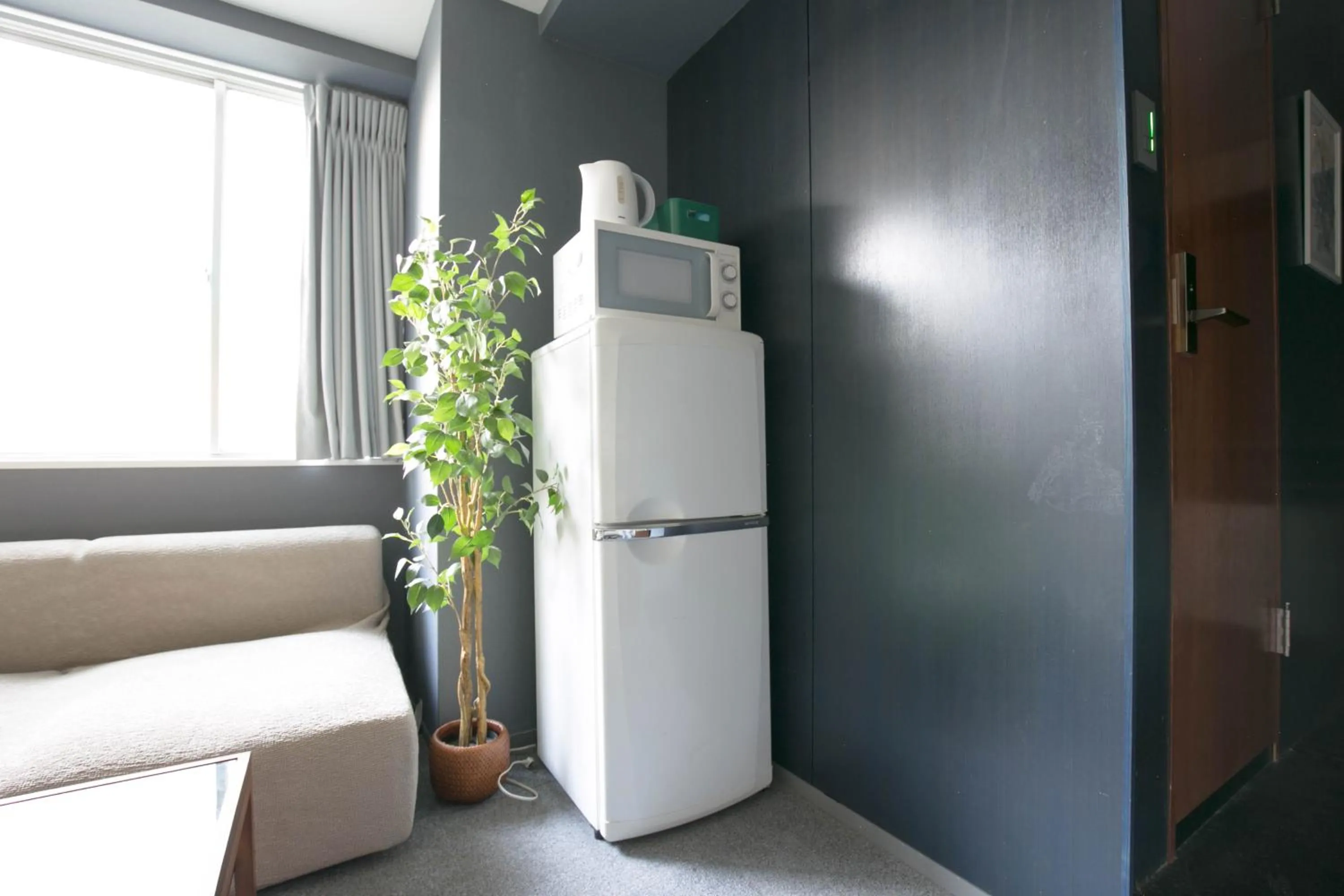 Living room in Hakata apartment