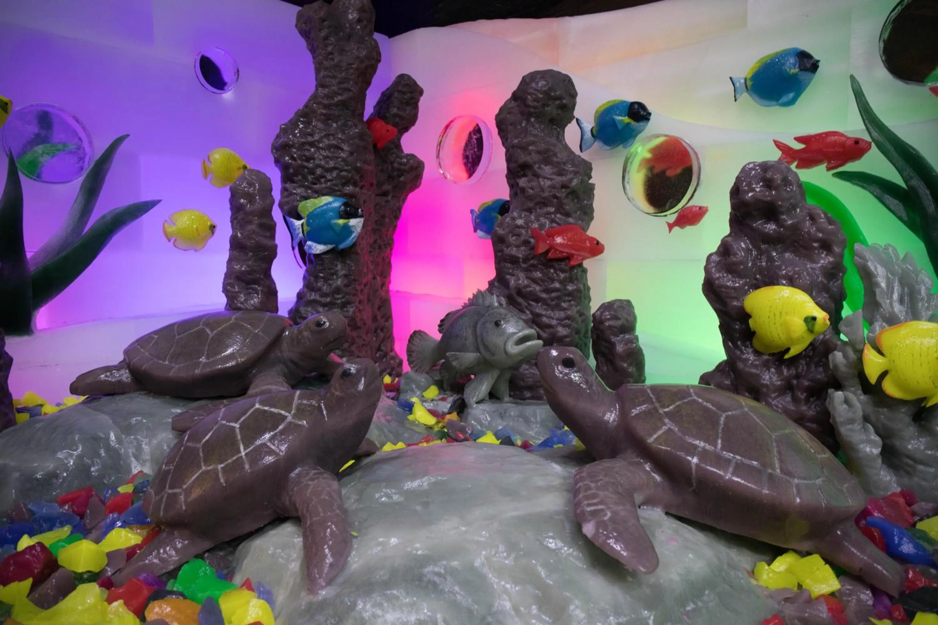 Animals in Moody Gardens Hotel Spa and Convention Center