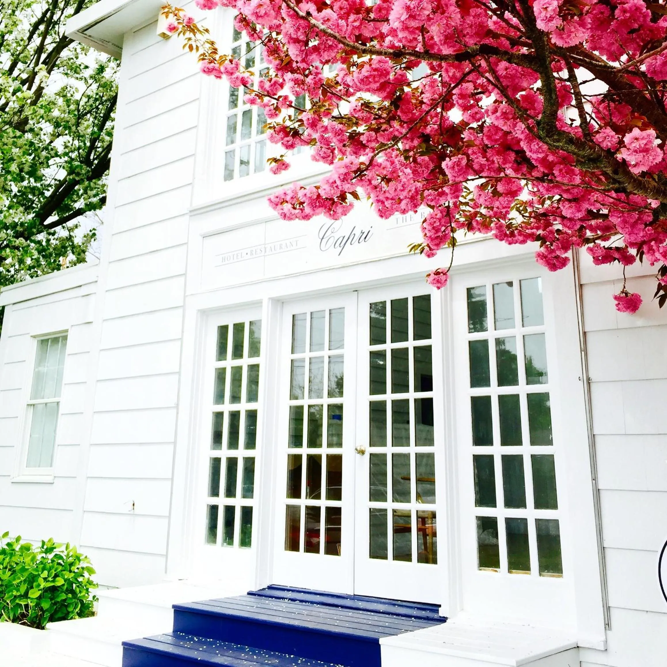 Facade/entrance in Capri Southampton