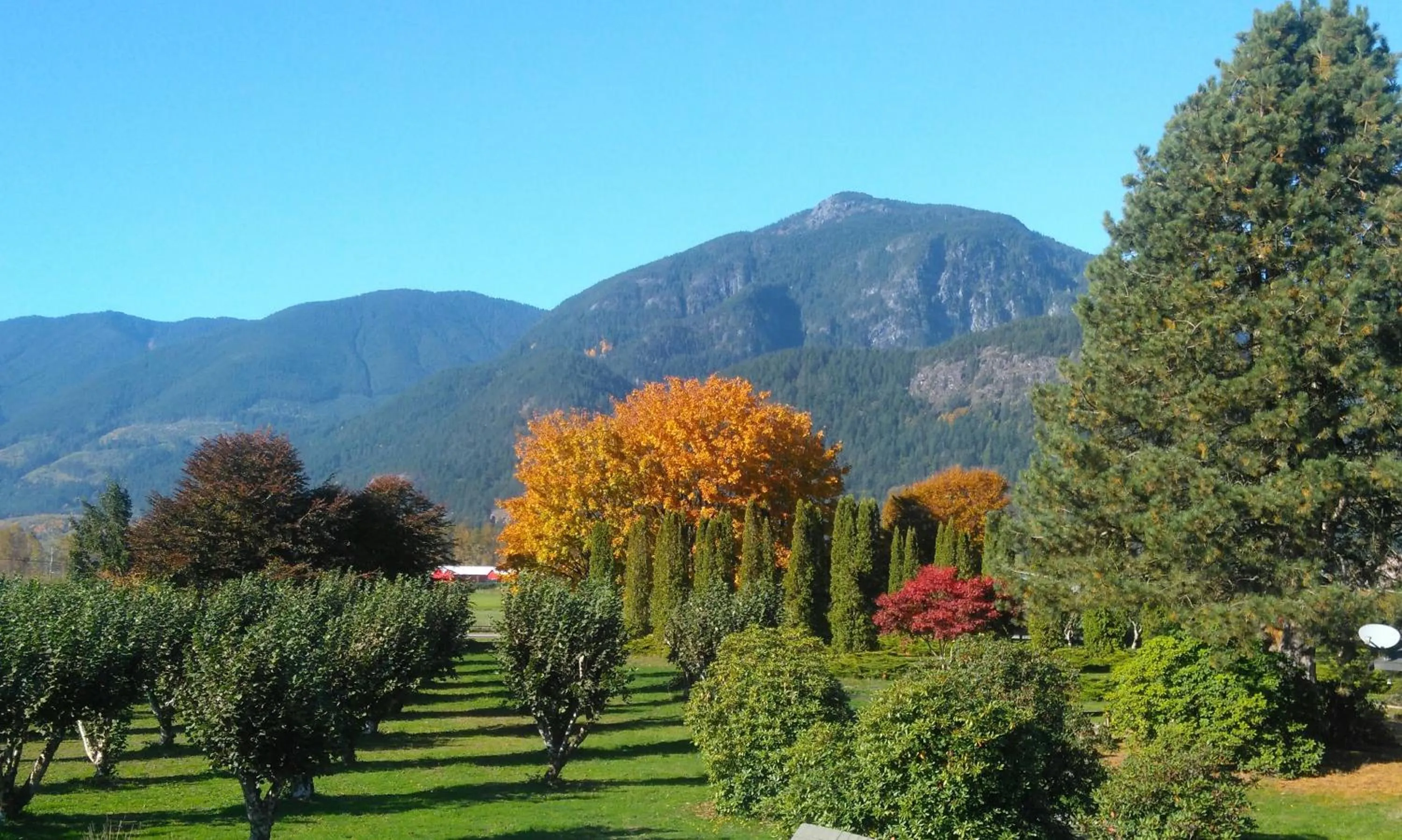 View (from property/room) in Harrison Hammond House Farmstay