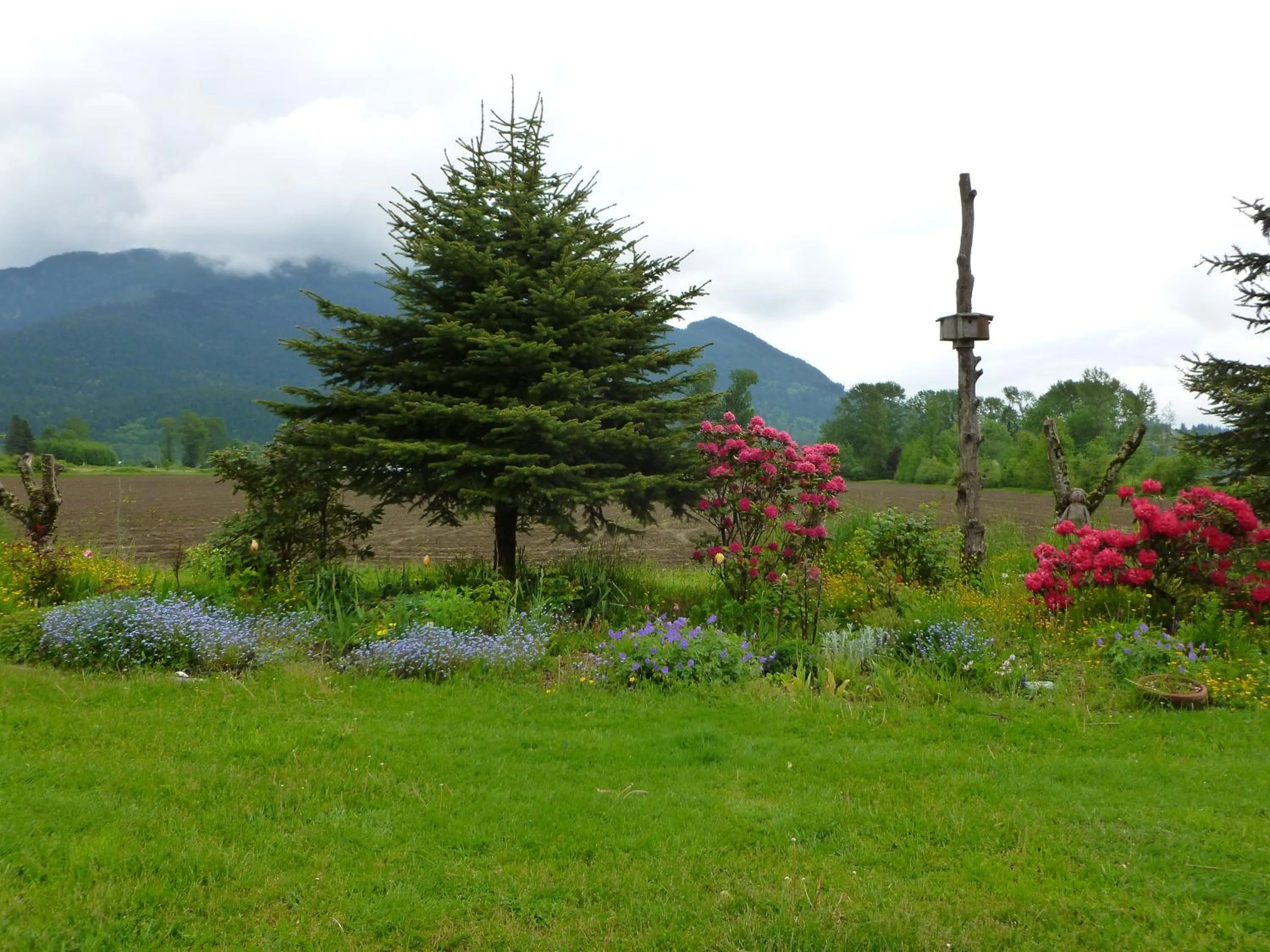 Harrison Hammond House Farmstay