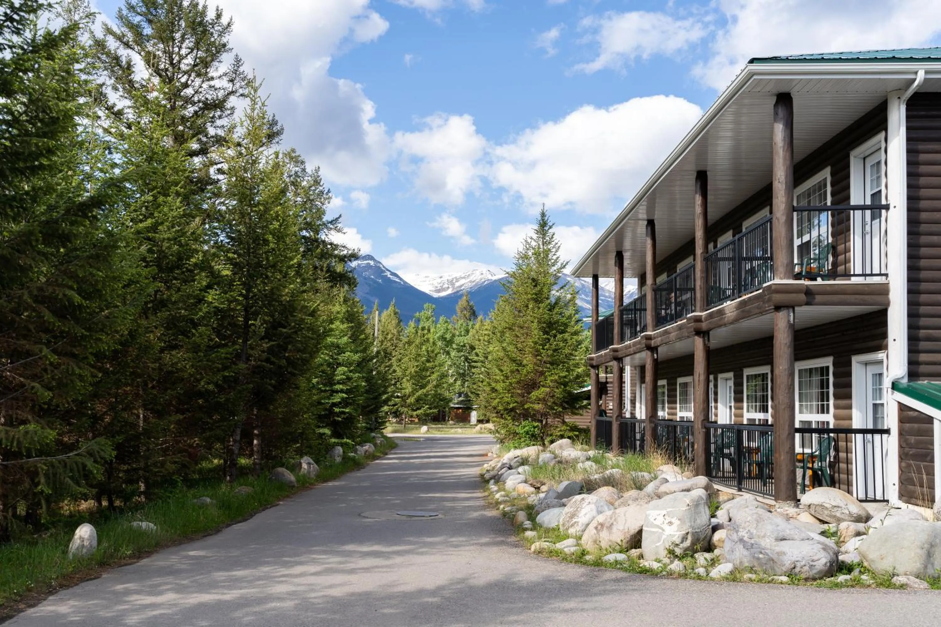 View (from property/room) in Pine Bungalows
