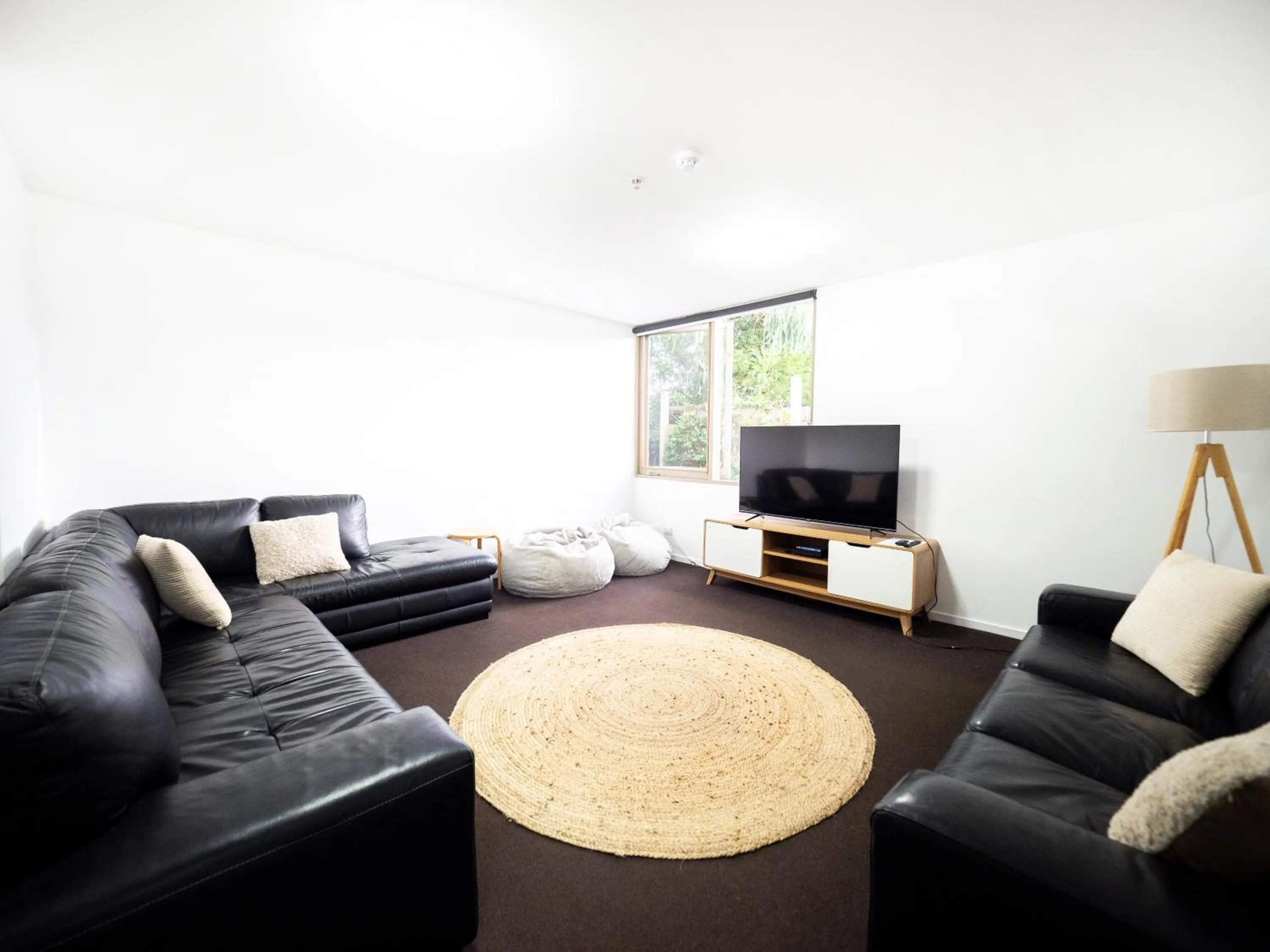 Communal lounge/ TV room in YHA Apollo Bay Eco