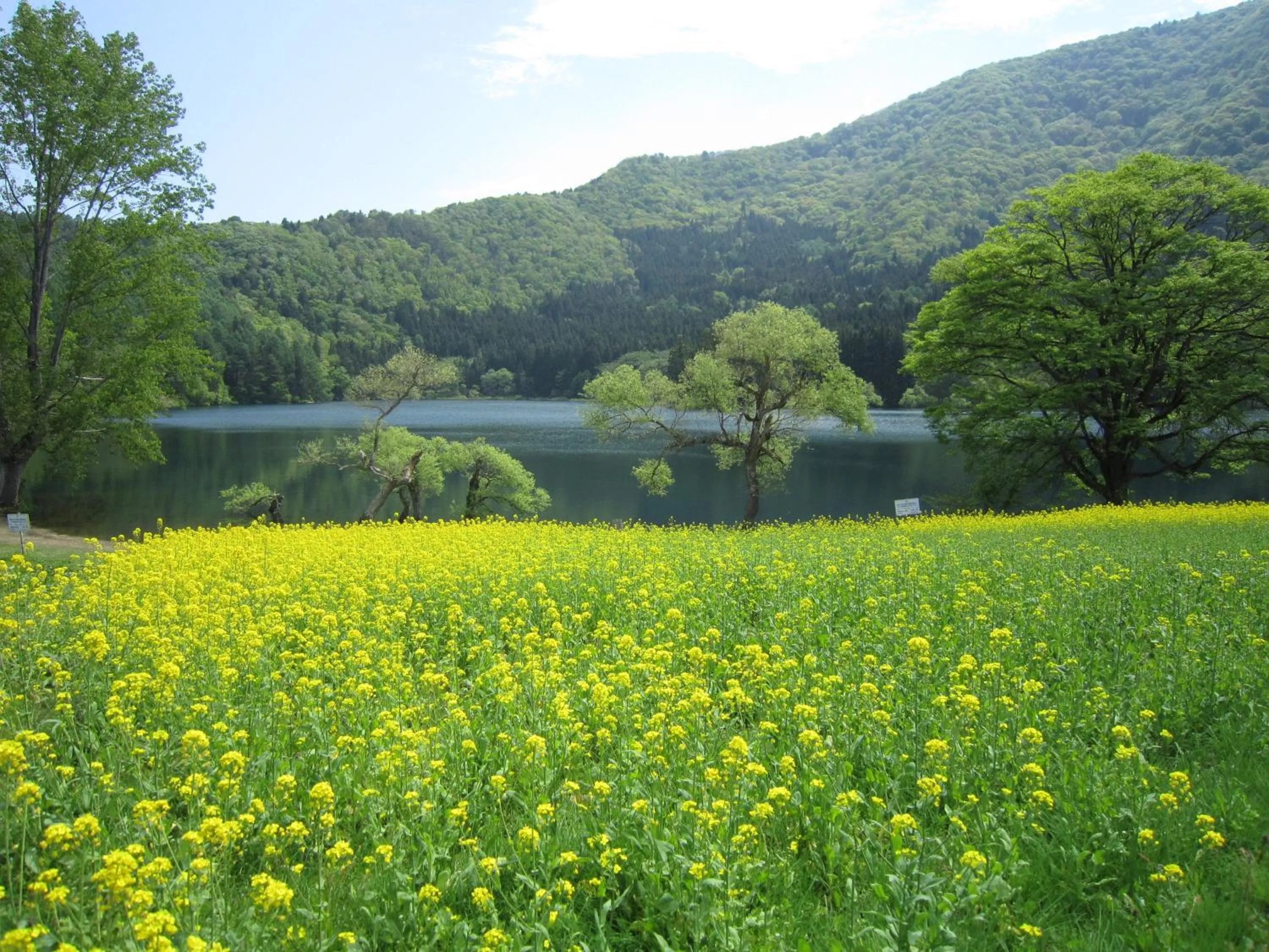 Day in Nozawa Onsen Utopia
