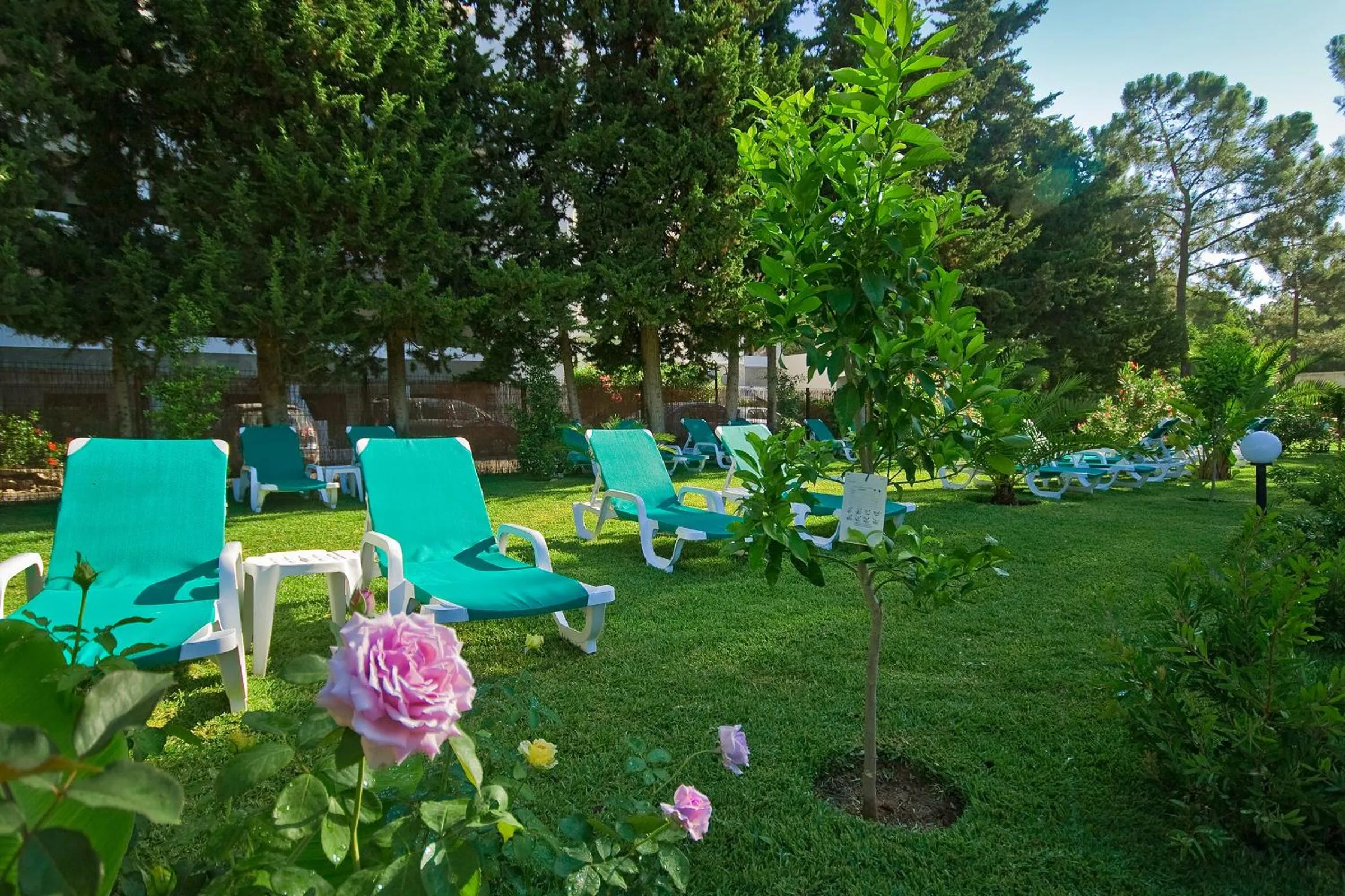 Garden in Hotel Balaia Mar
