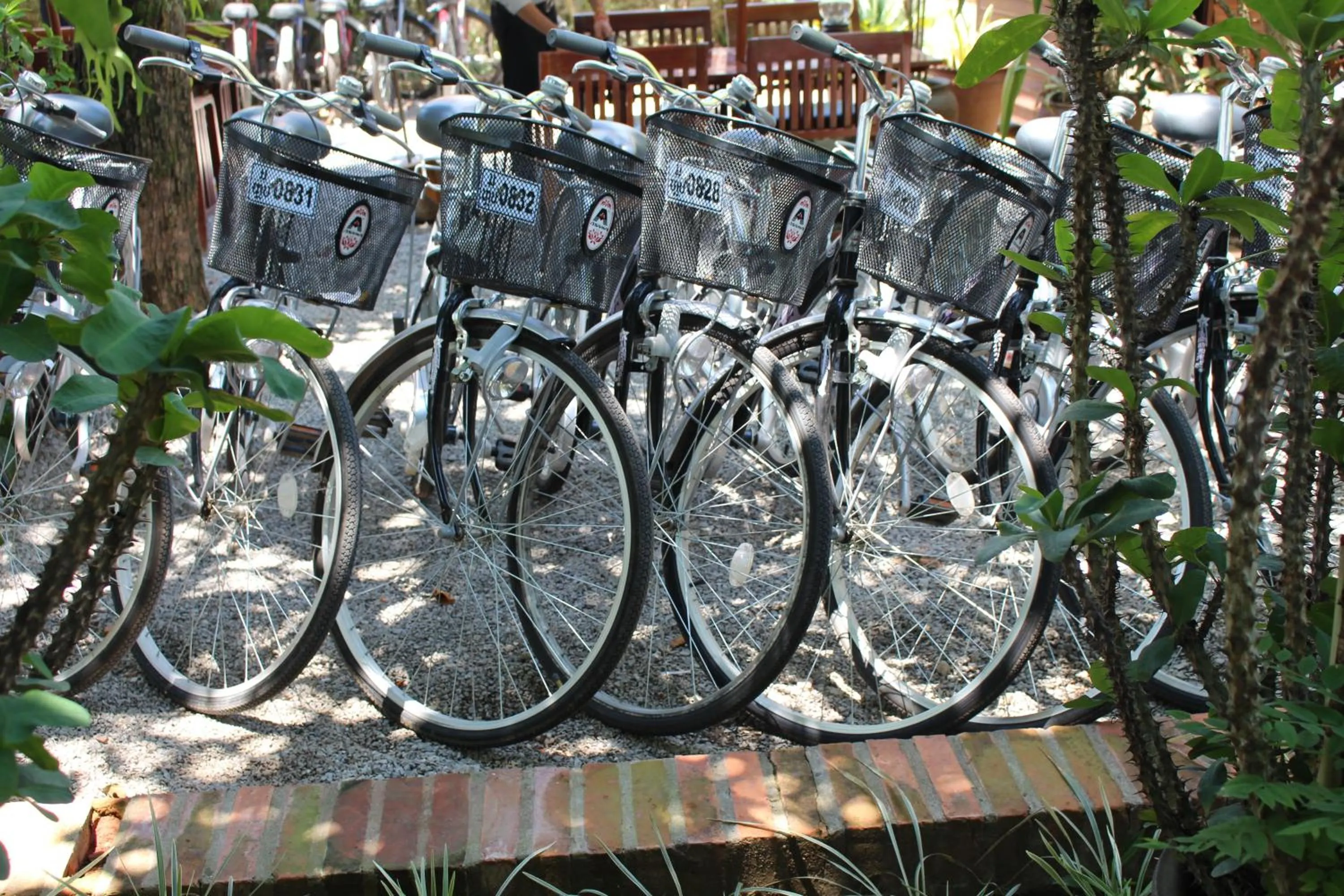 Cycling in Villa Maydou Boutique Hotel