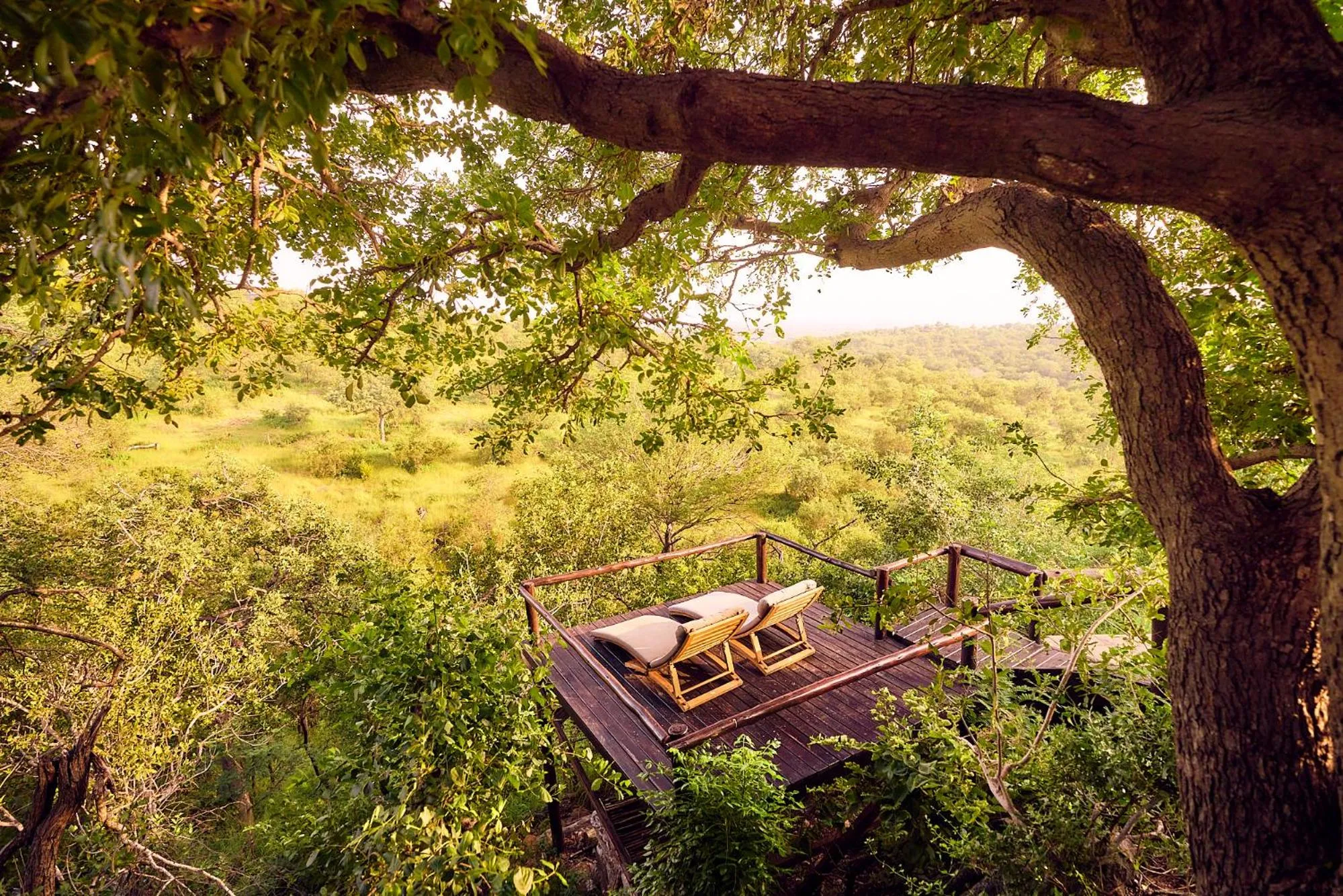 sunbed in Parsons Hilltop Safari Camp