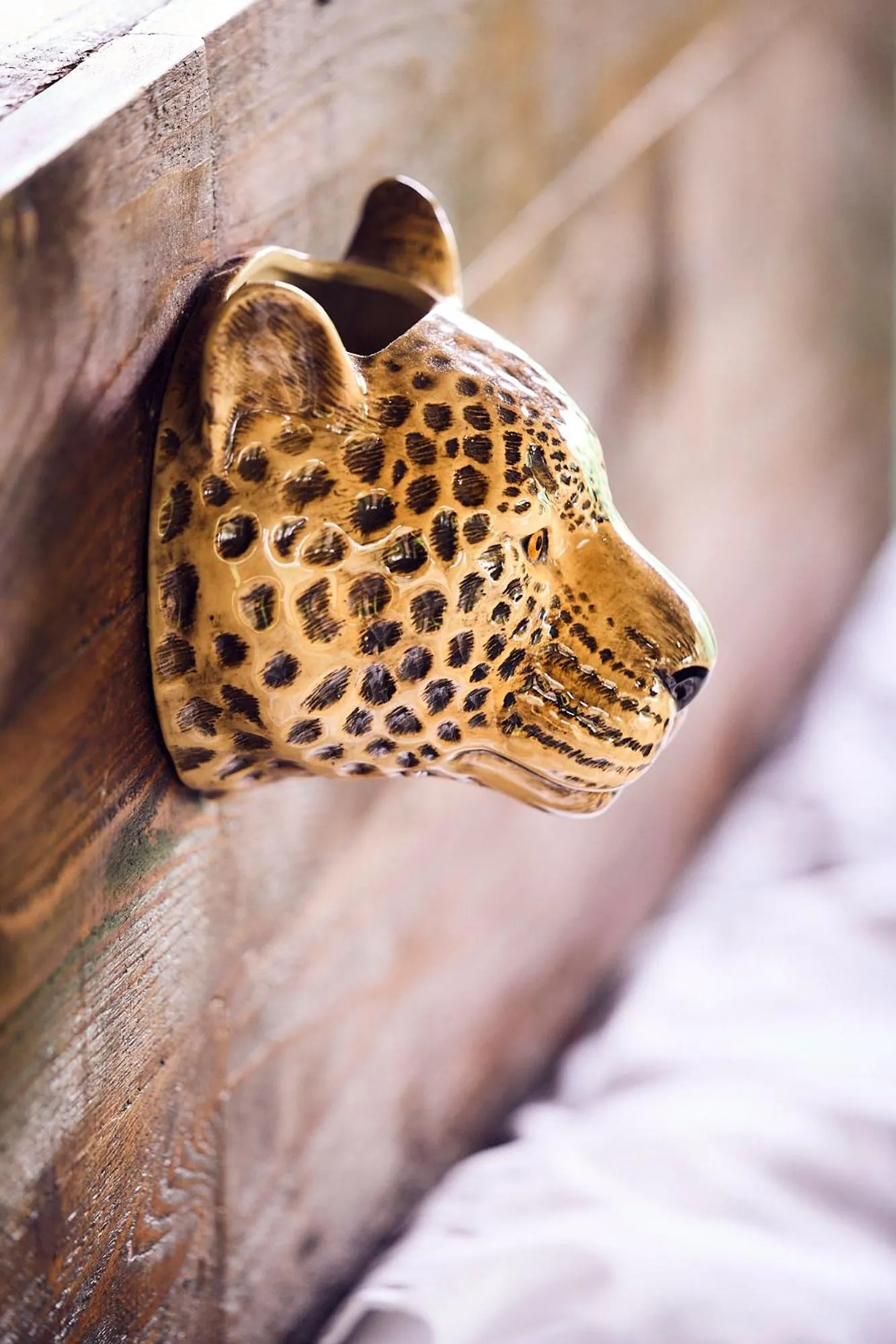 Decorative detail in Parsons Hilltop Safari Camp