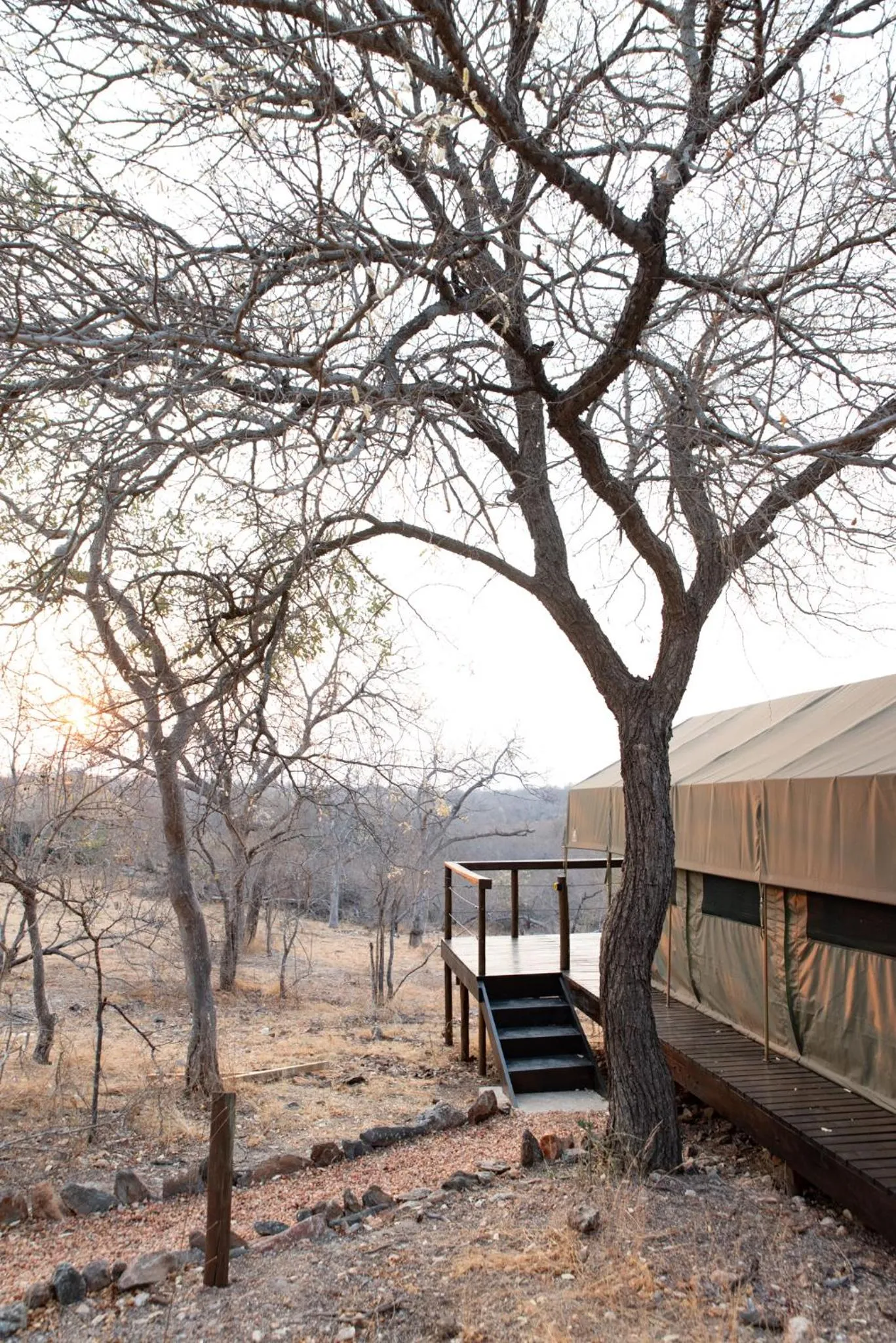 View (from property/room) in Parsons Hilltop Safari Camp