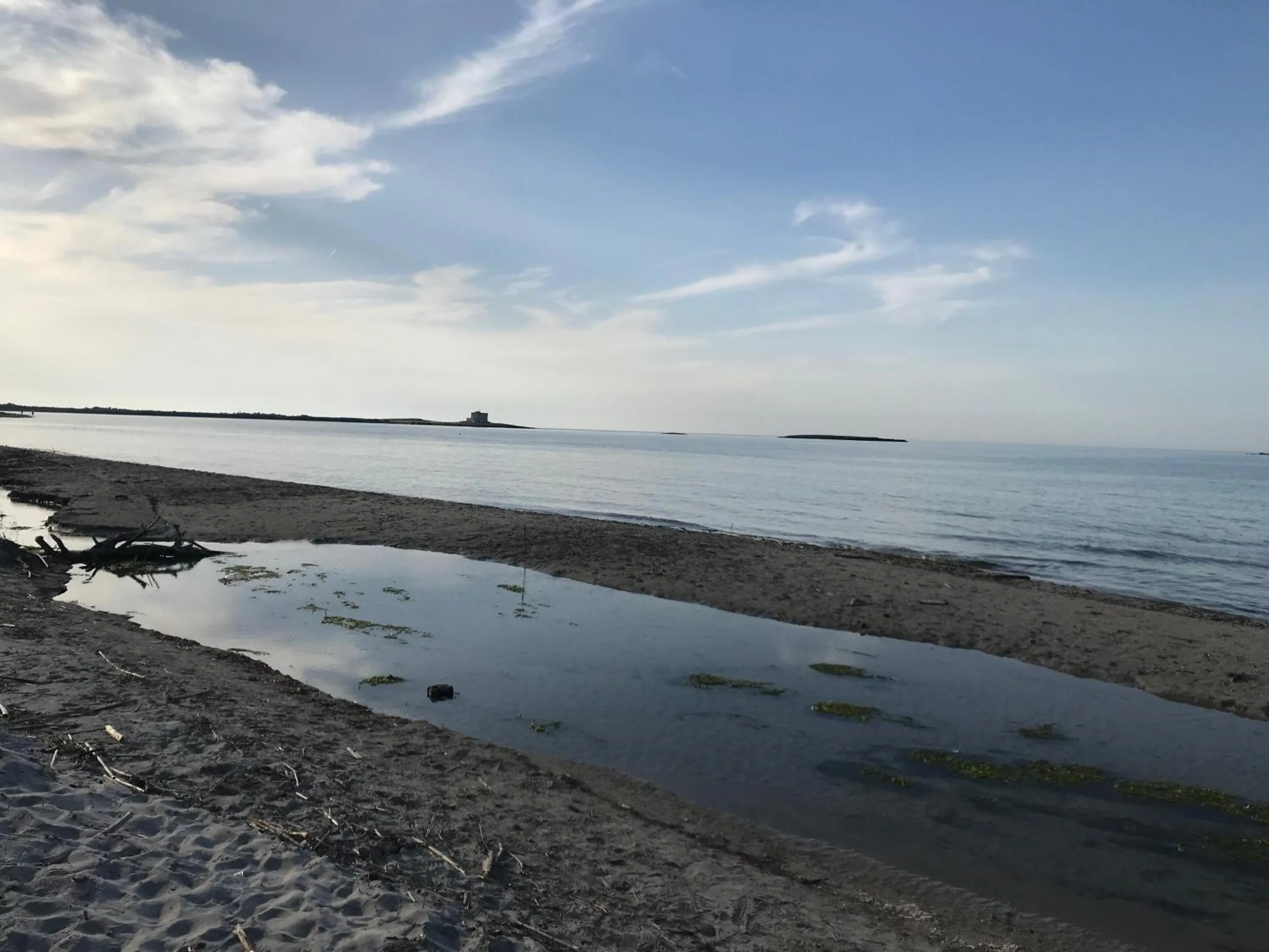 Other in La casa di Sergio