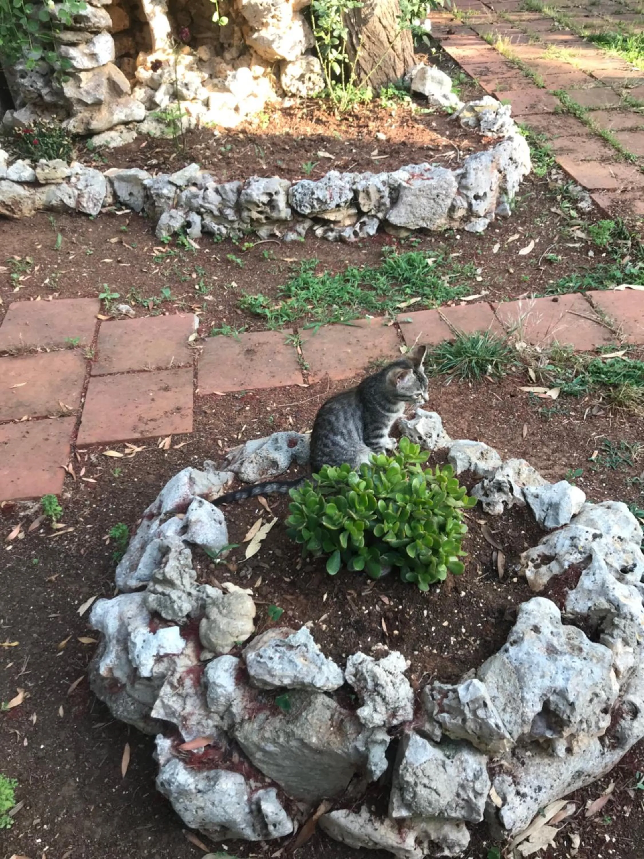 Other in La casa di Sergio