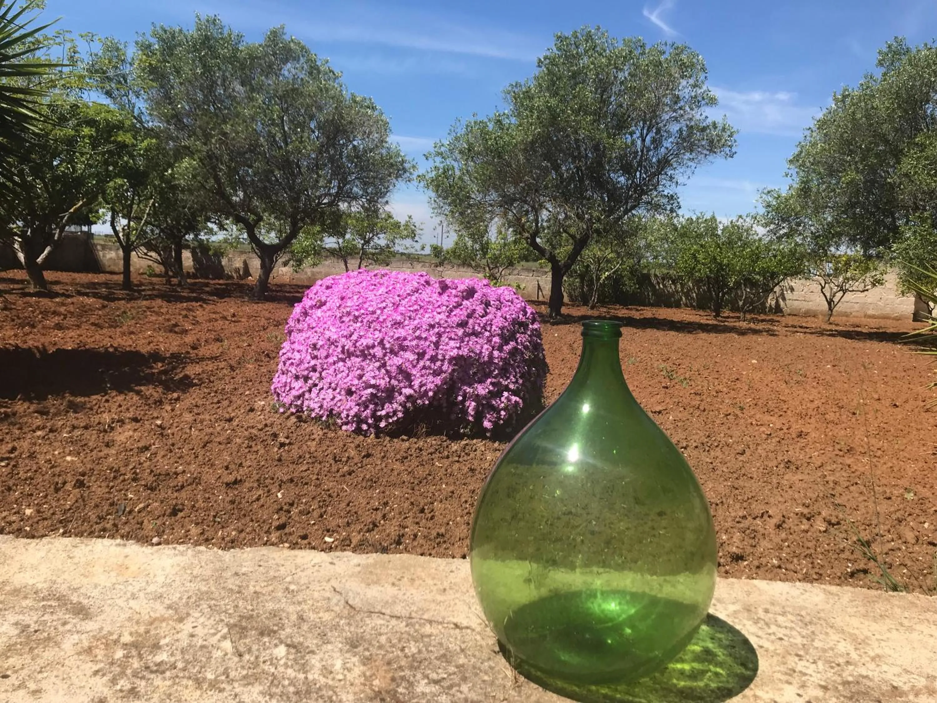 Garden in La casa di Sergio