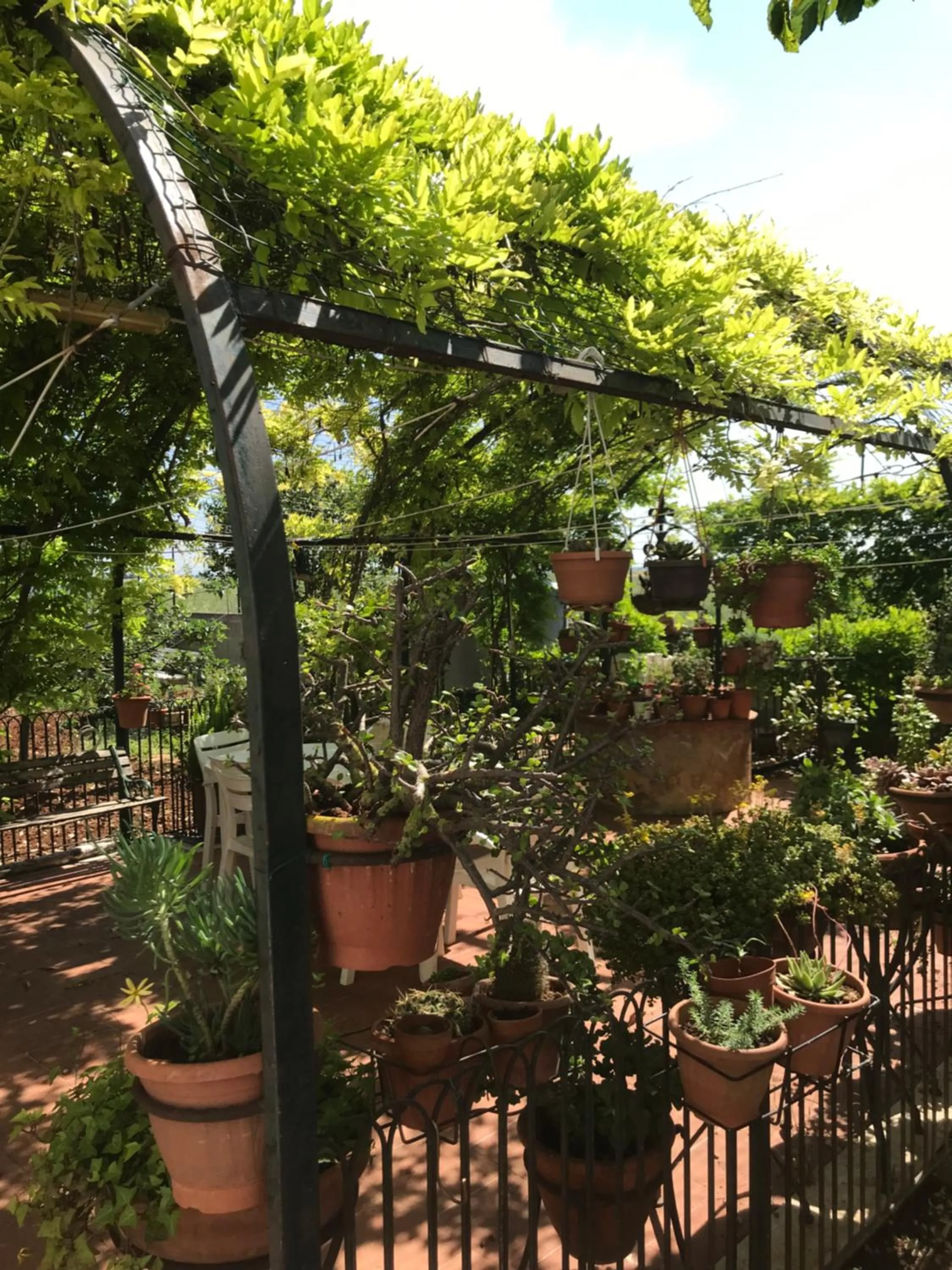 Garden in La casa di Sergio