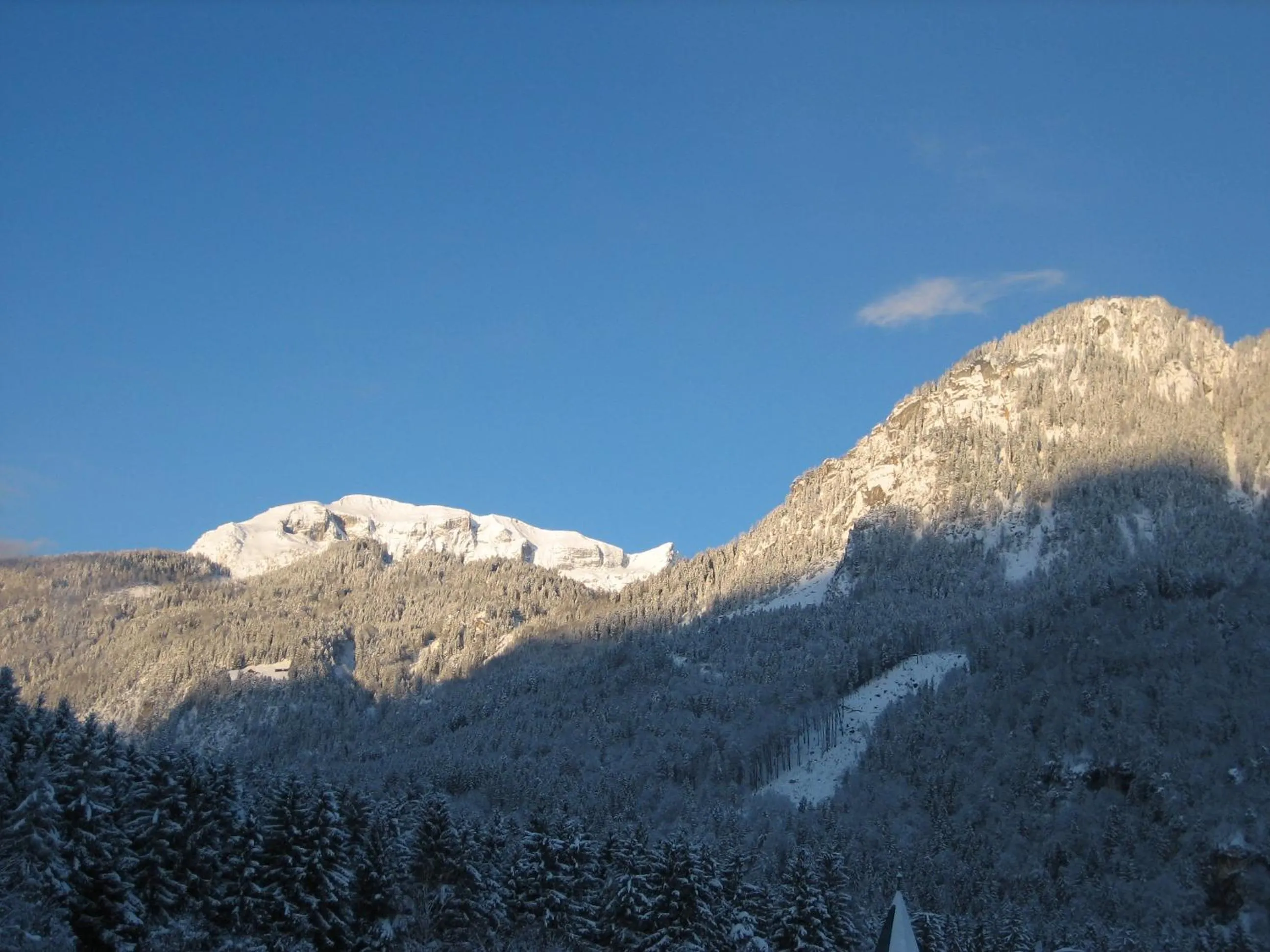 View (from property/room) in Hotel Jagdhof