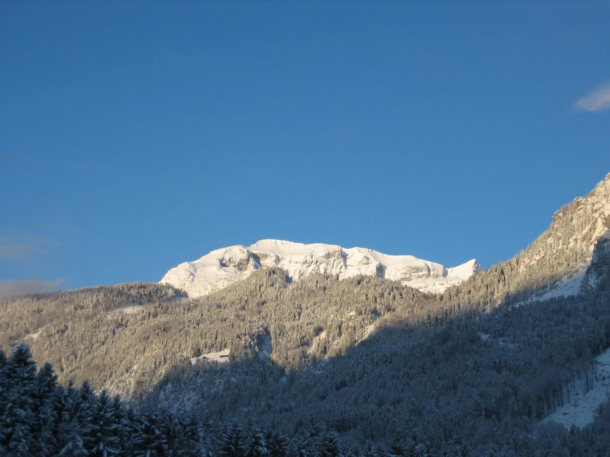 Winter in Hotel Jagdhof