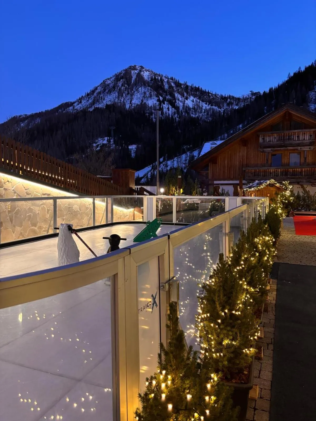 Balcony/Terrace in Hotel Alpenrose