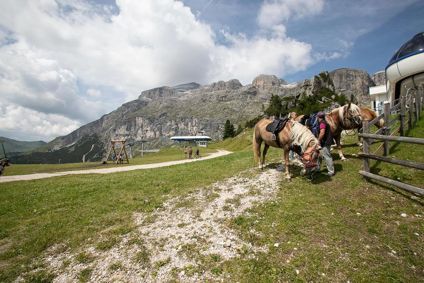 BBQ facilities in Hotel Alpenrose