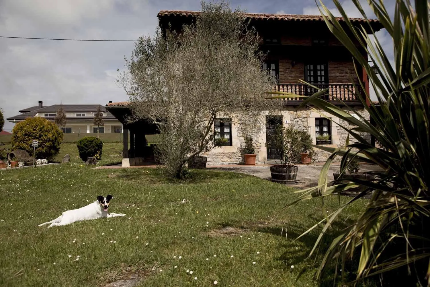 Property building in Apartamentos La Gloria