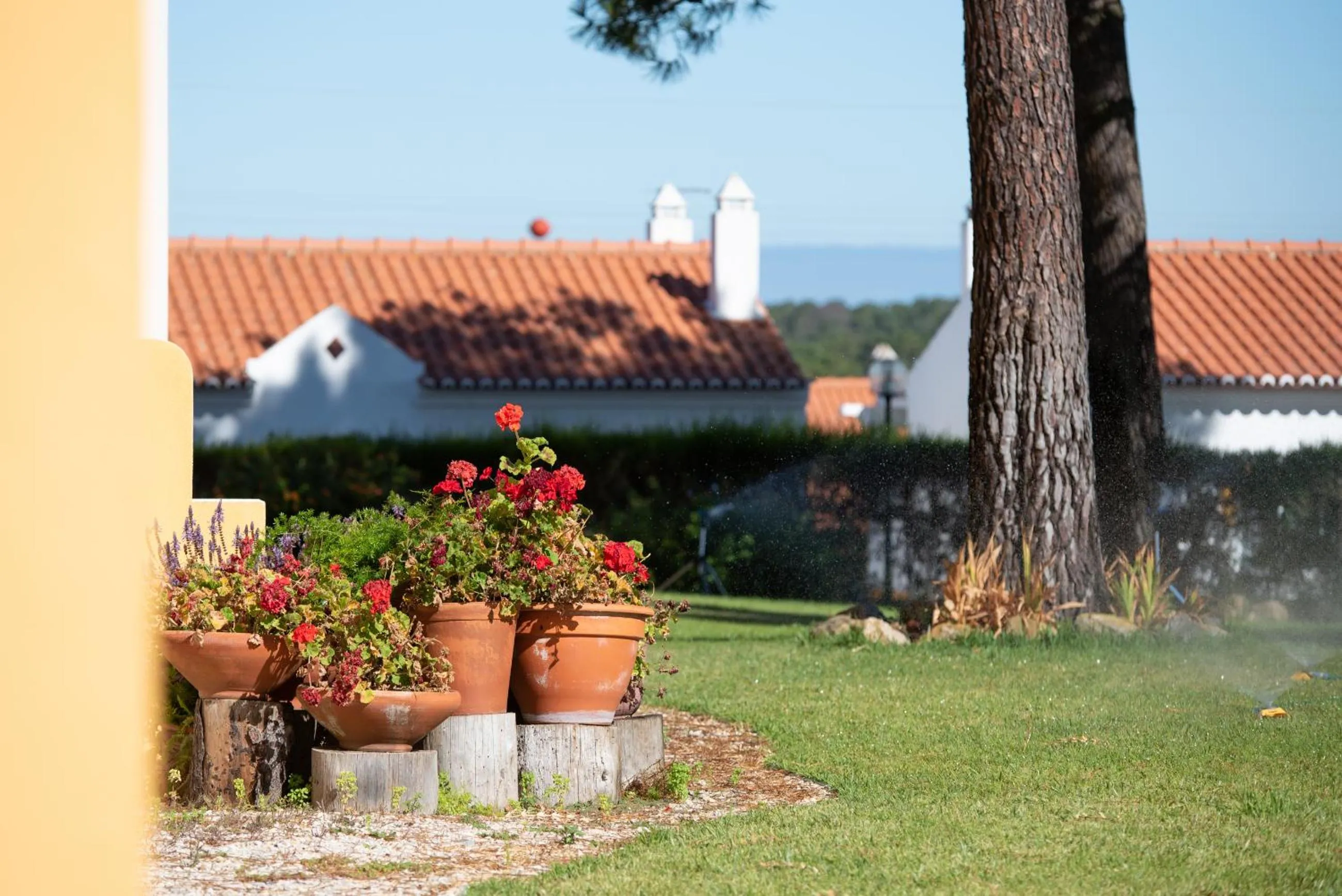 Garden in Hotel Rural Monte da Leziria