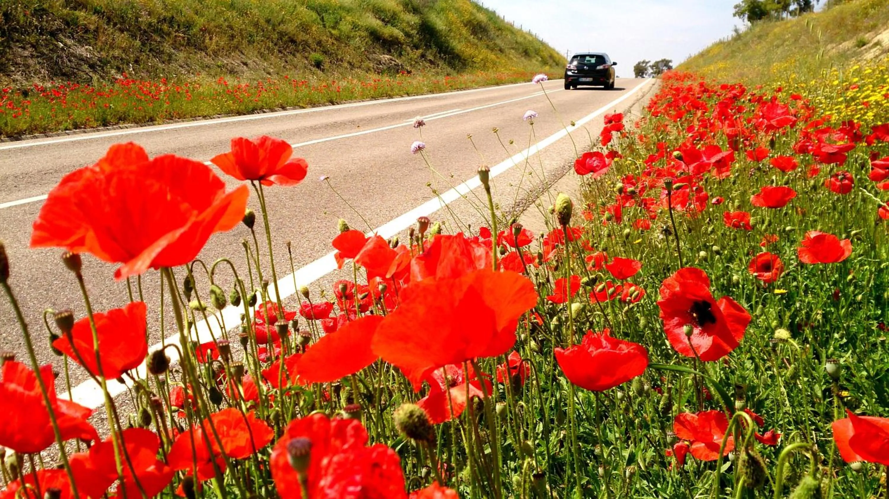 Other in Hotel Sol e Serra