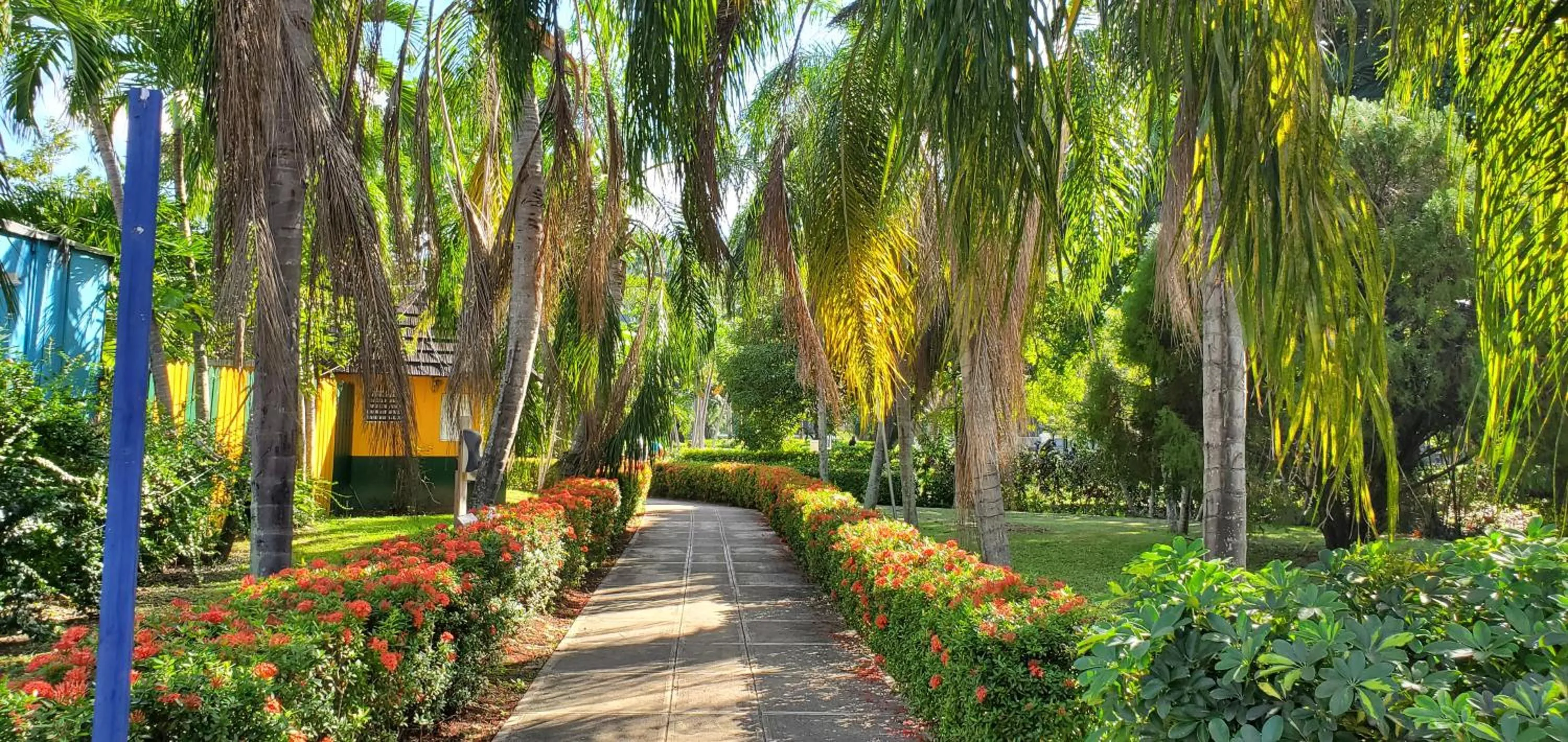 Nearby landmark in Sandcastles Resort, Ocho Rios