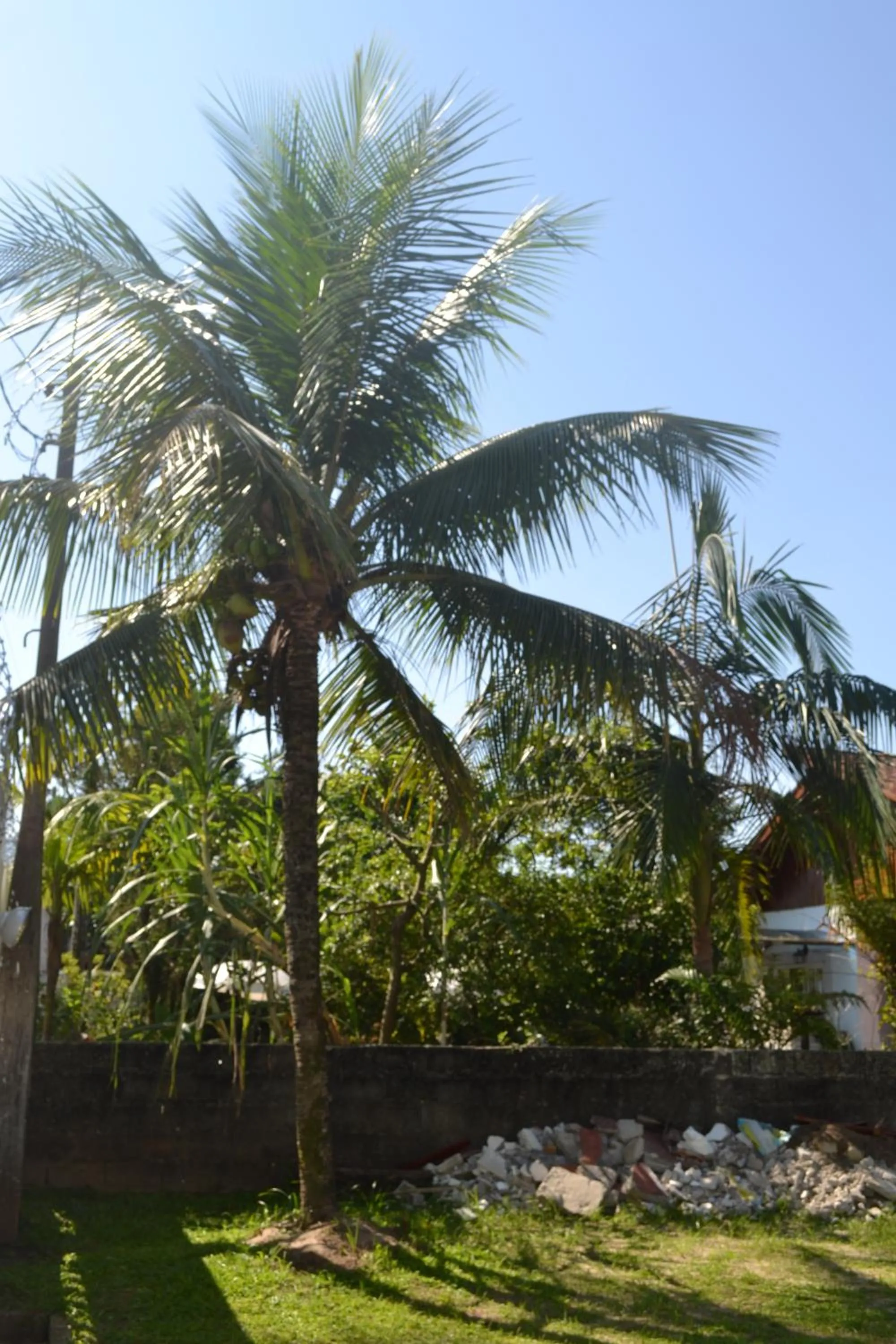Garden view in Pousada Recanto da Praia