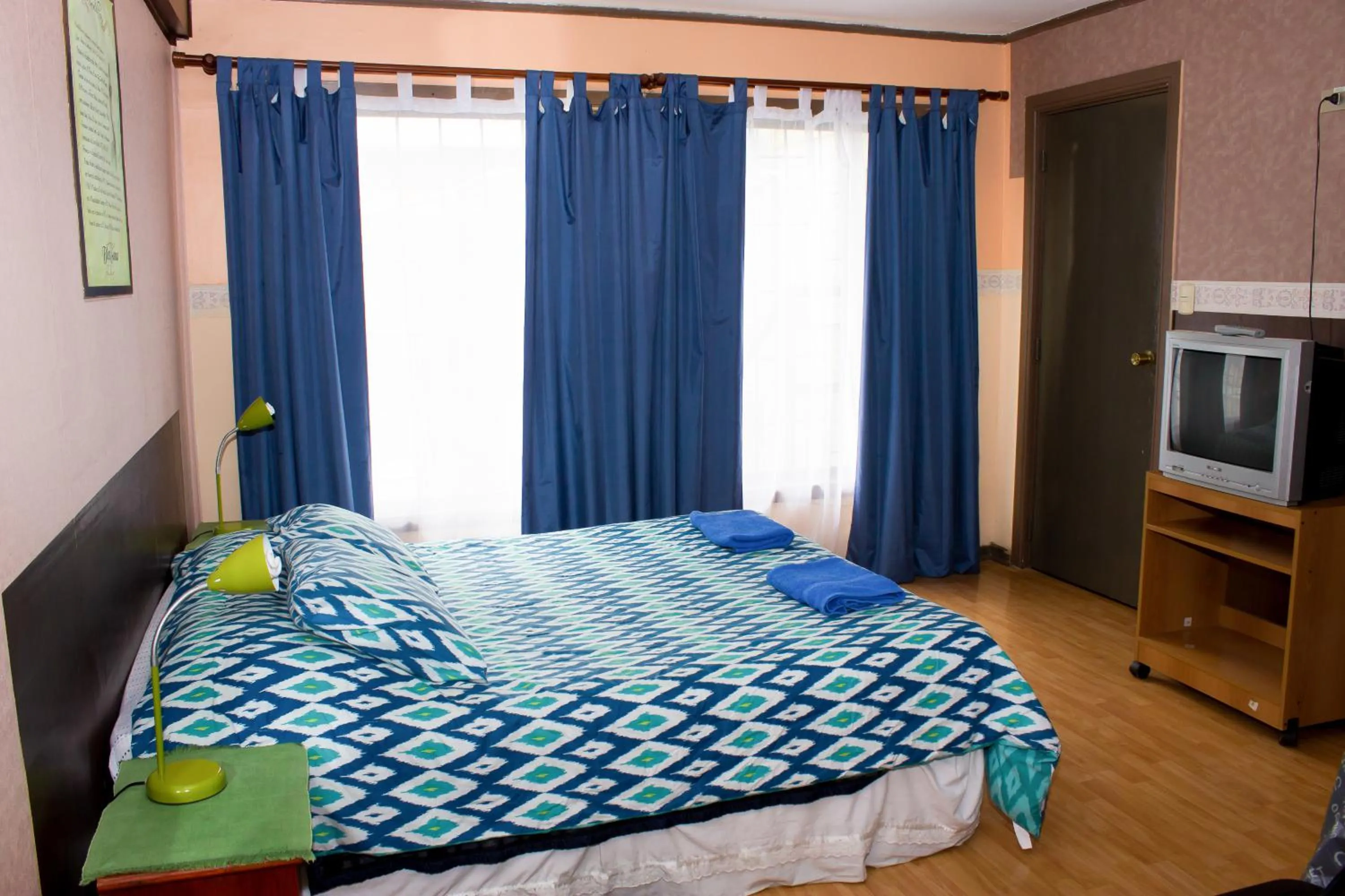 Bed in Hostal Residencia Blest Gana