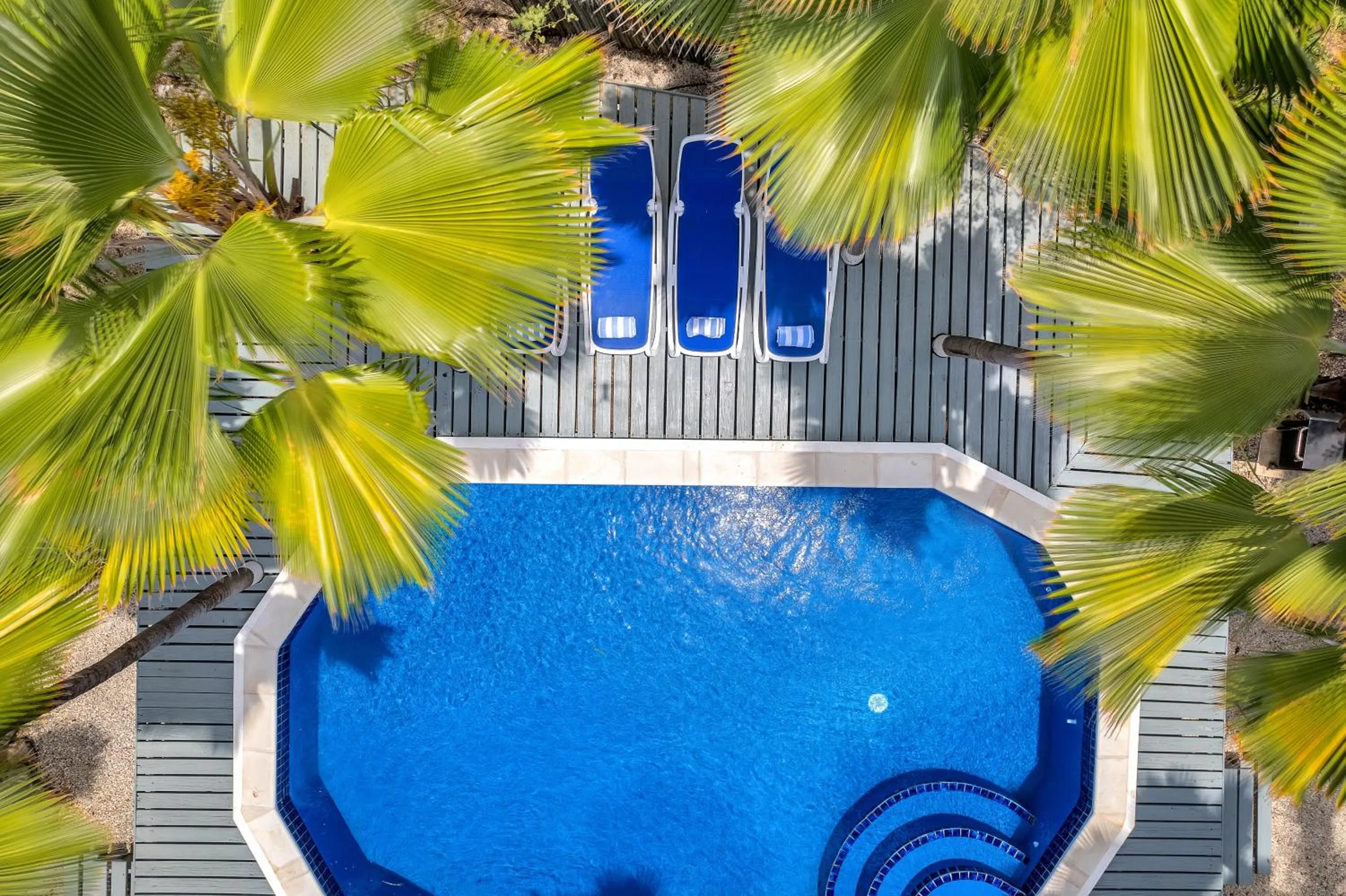 Pool view in Tropical Divers Resort