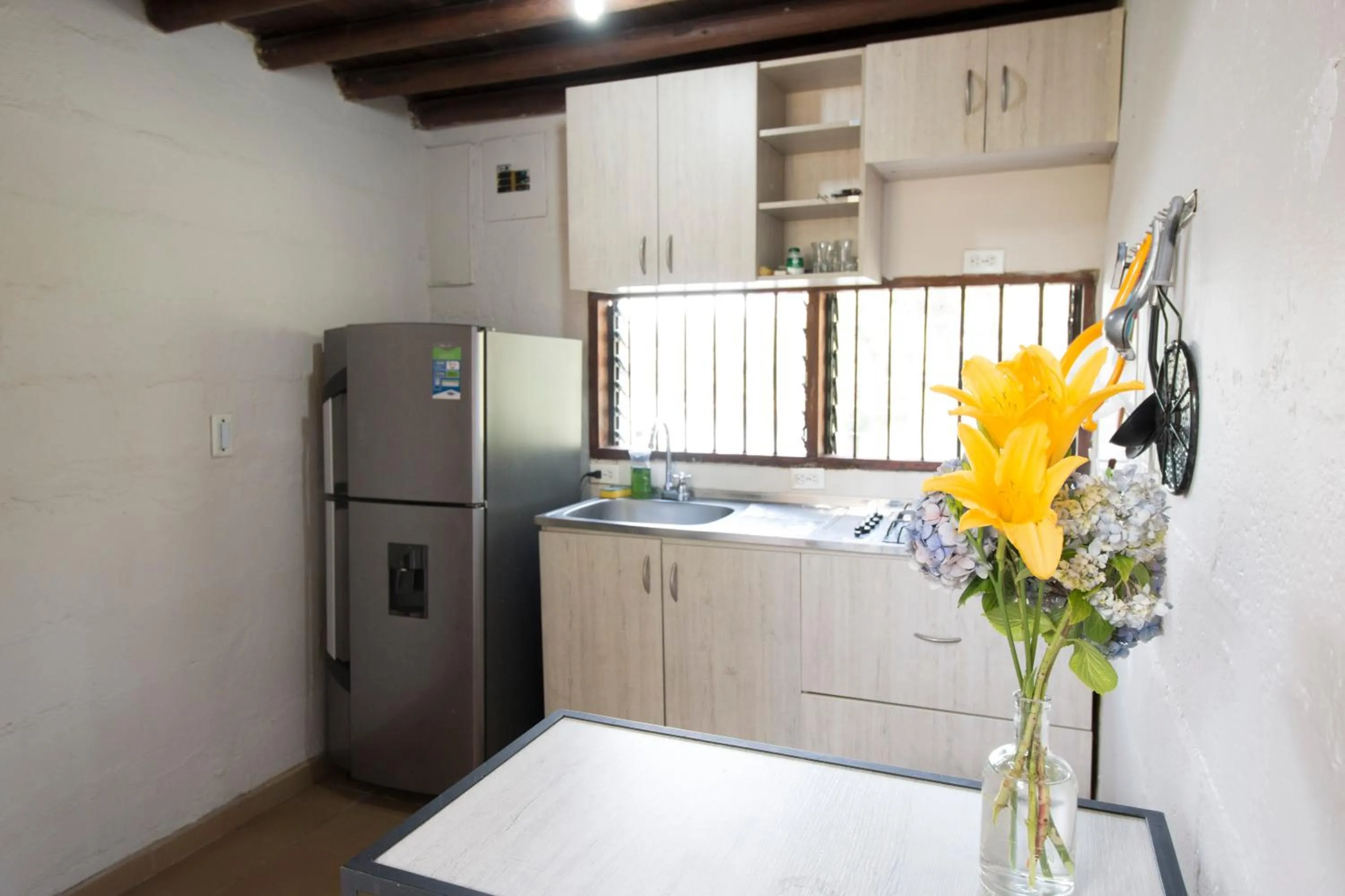 Kitchen or kitchenette in Ecolodge Bahia del Peñón