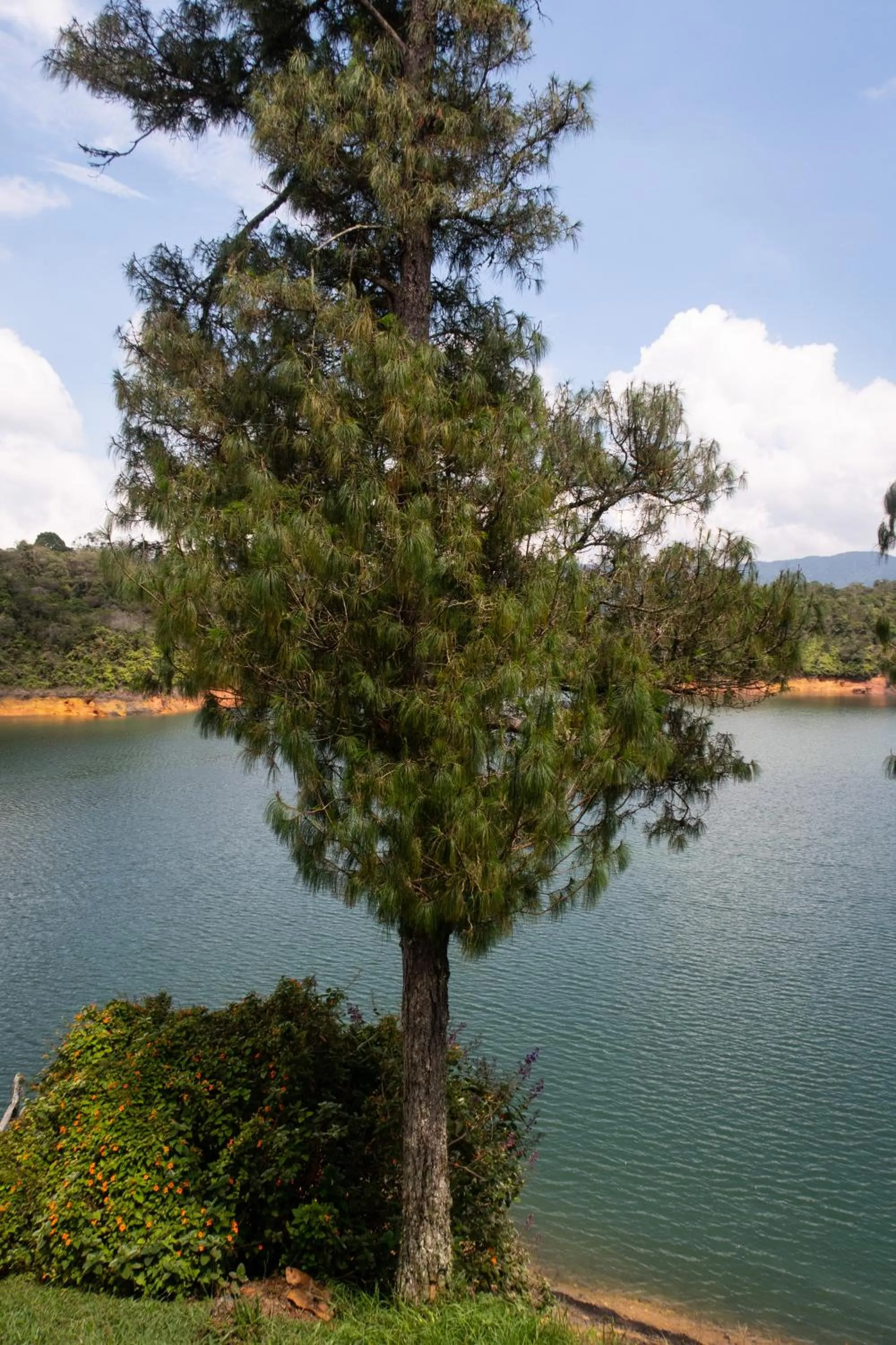 Lake view in Ecolodge Bahia del Peñón