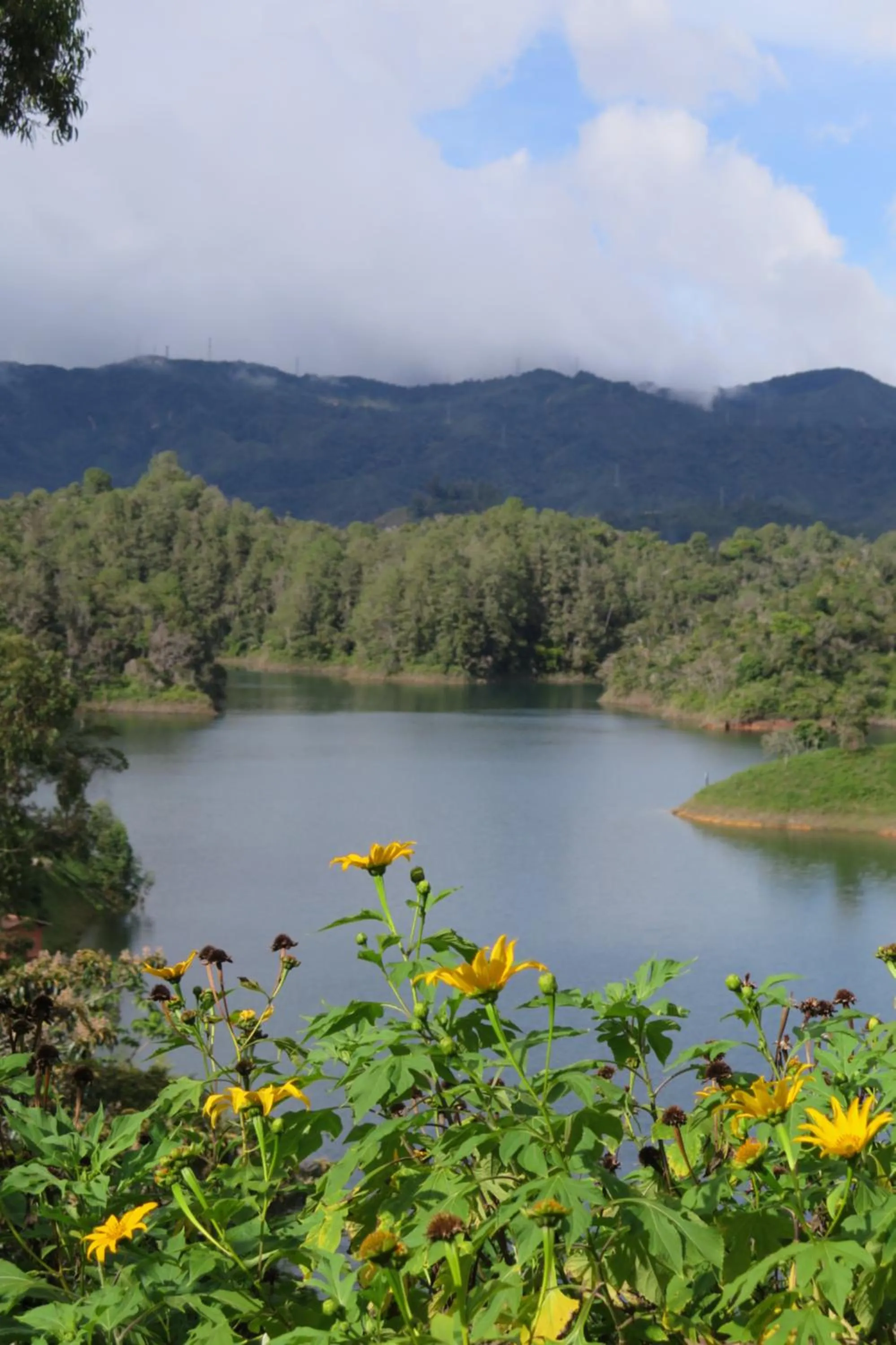 Garden in Ecolodge Bahia del Peñón