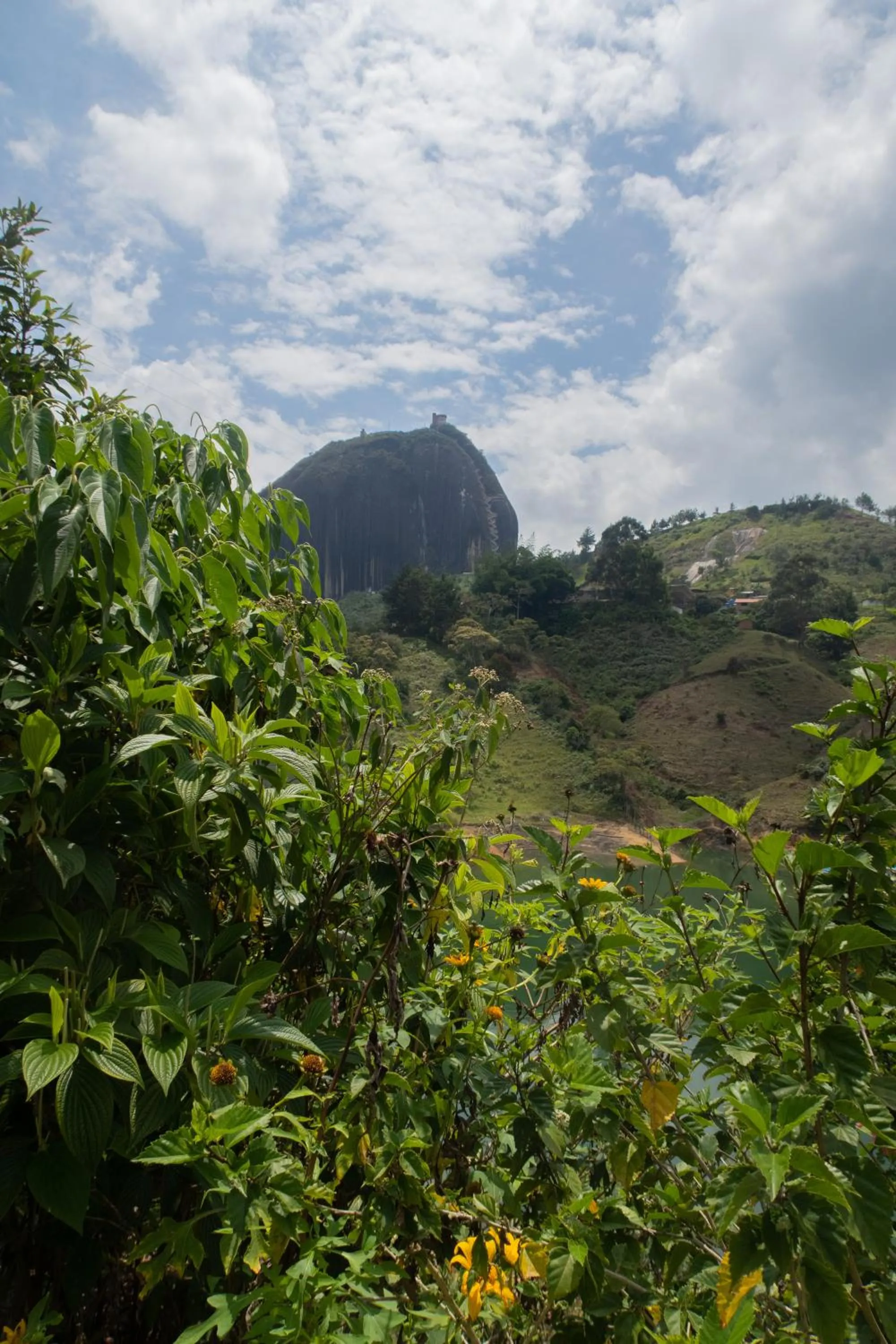 Natural landscape in Ecolodge Bahia del Peñón
