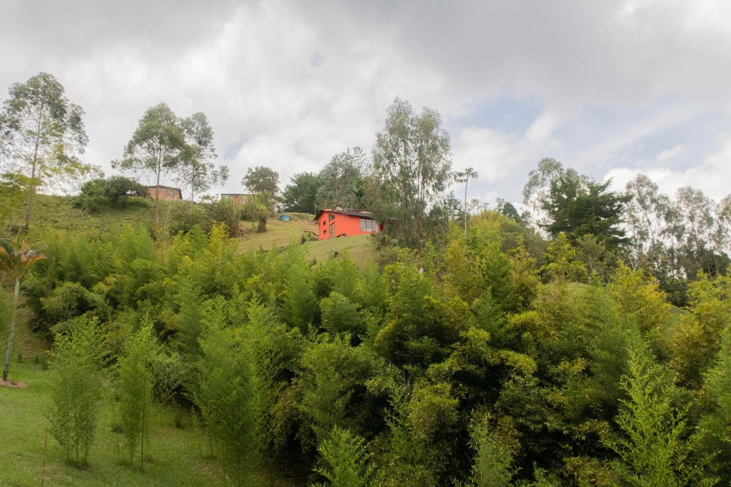 Natural landscape in Ecolodge Bahia del Peñón