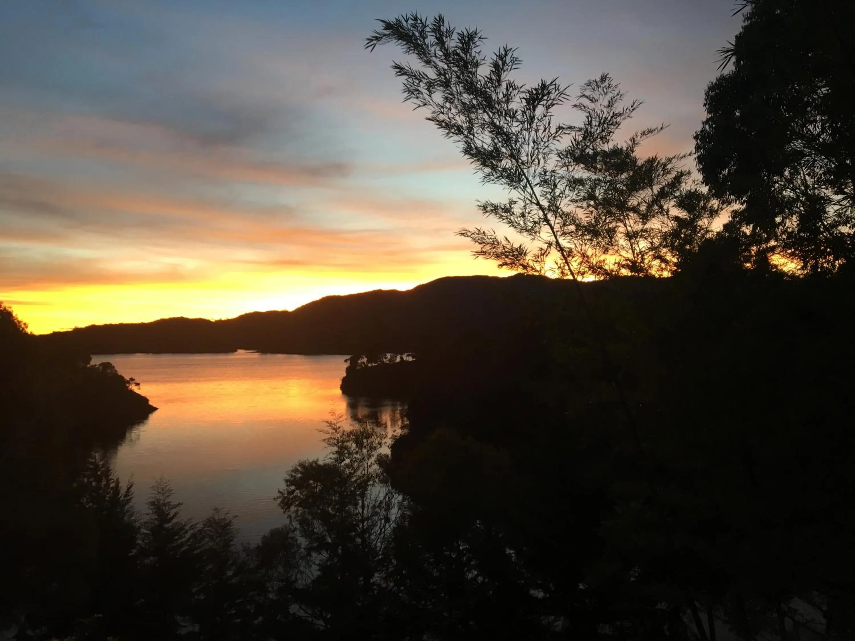 Natural landscape in Ecolodge Bahia del Peñón