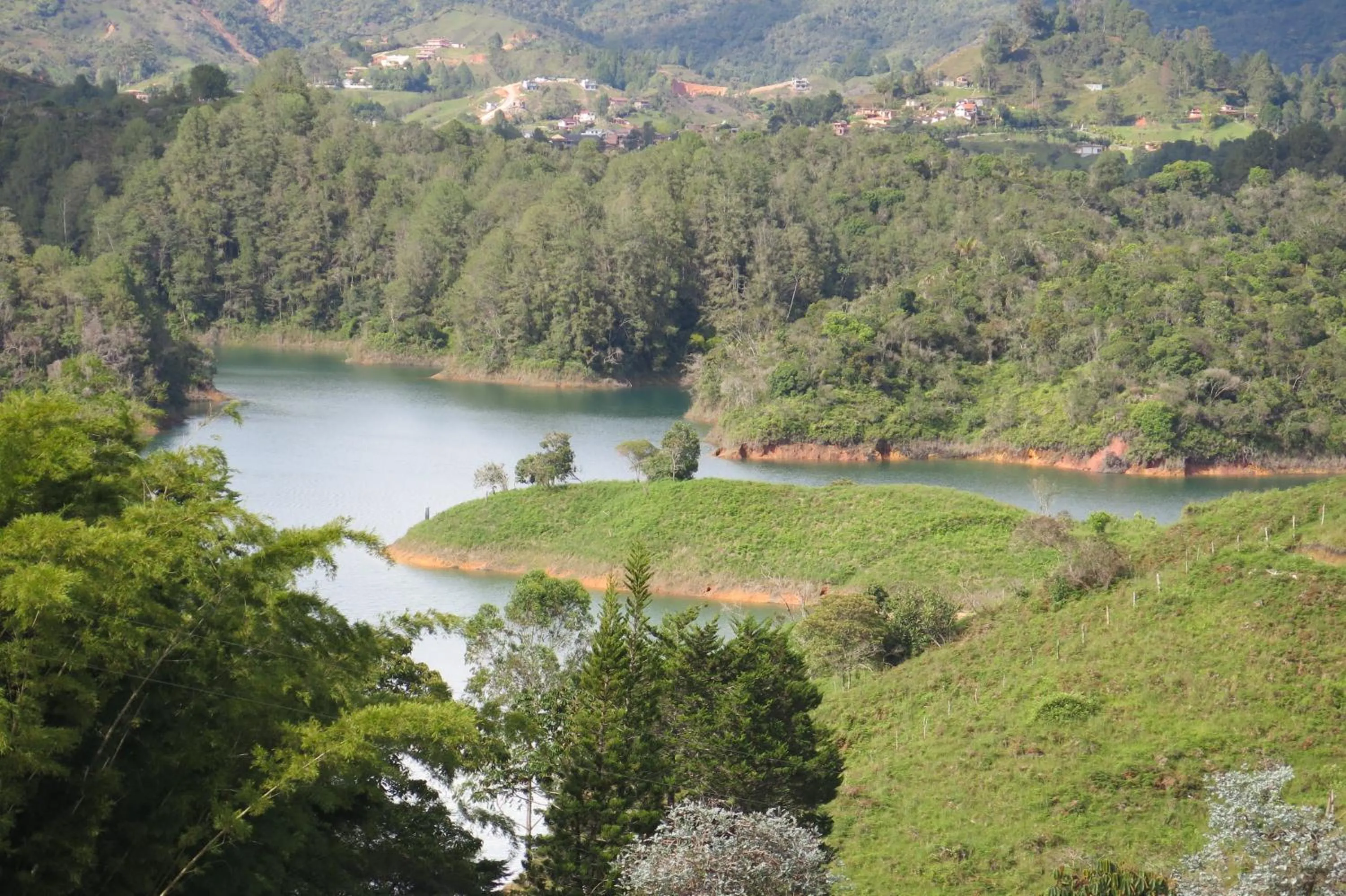 Garden in Ecolodge Bahia del Peñón
