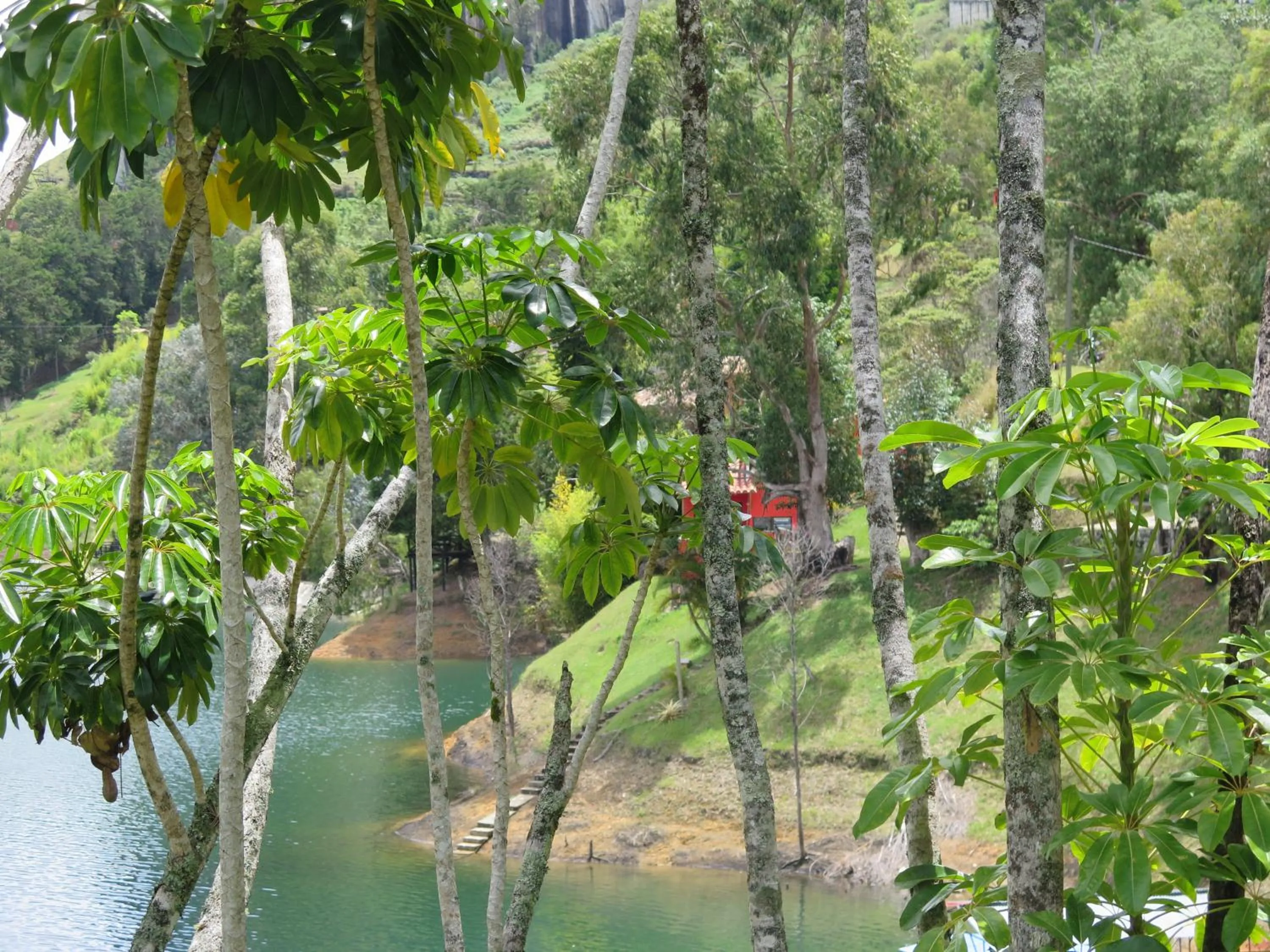Natural landscape in Ecolodge Bahia del Peñón