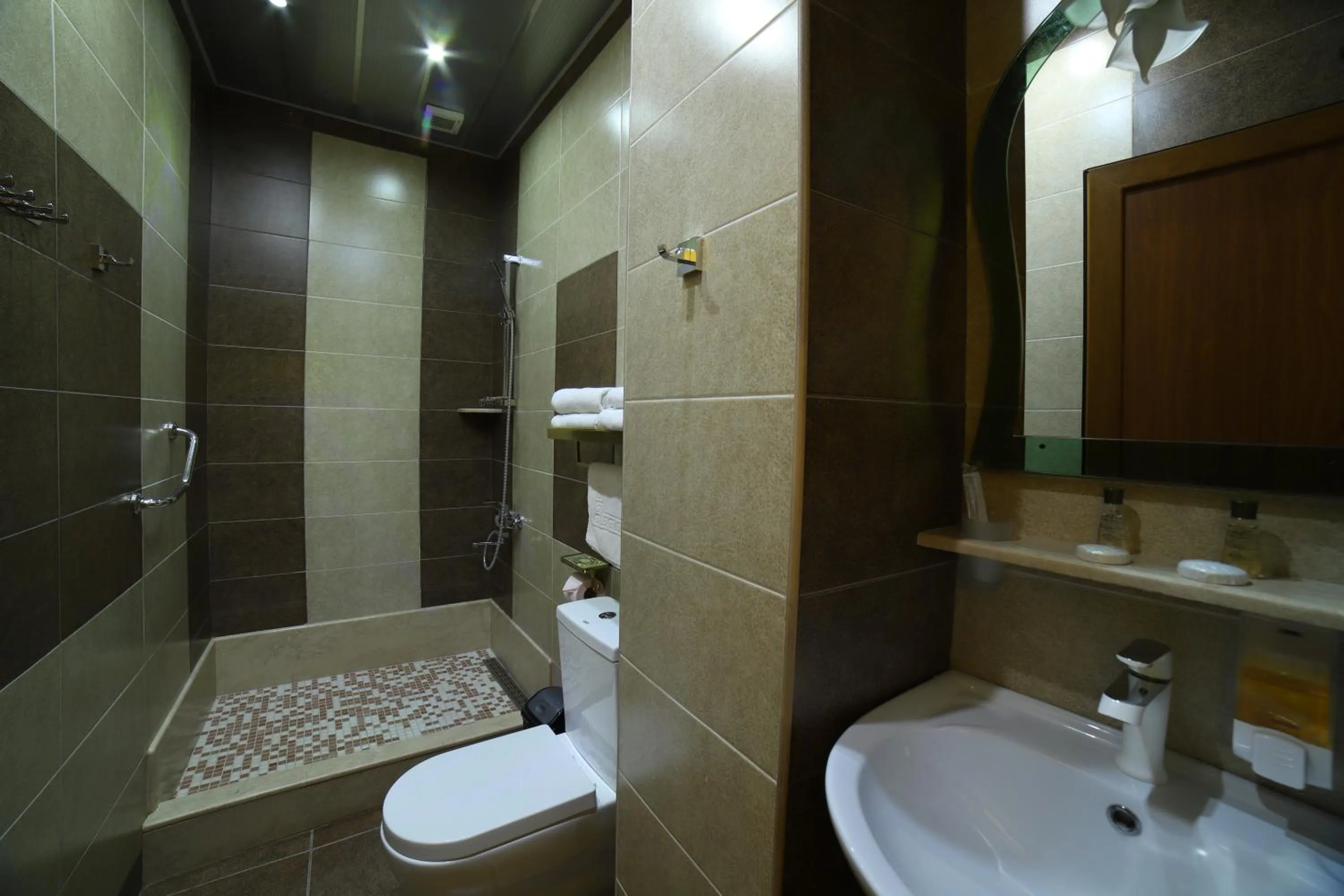 Toilet in Hotel Agava