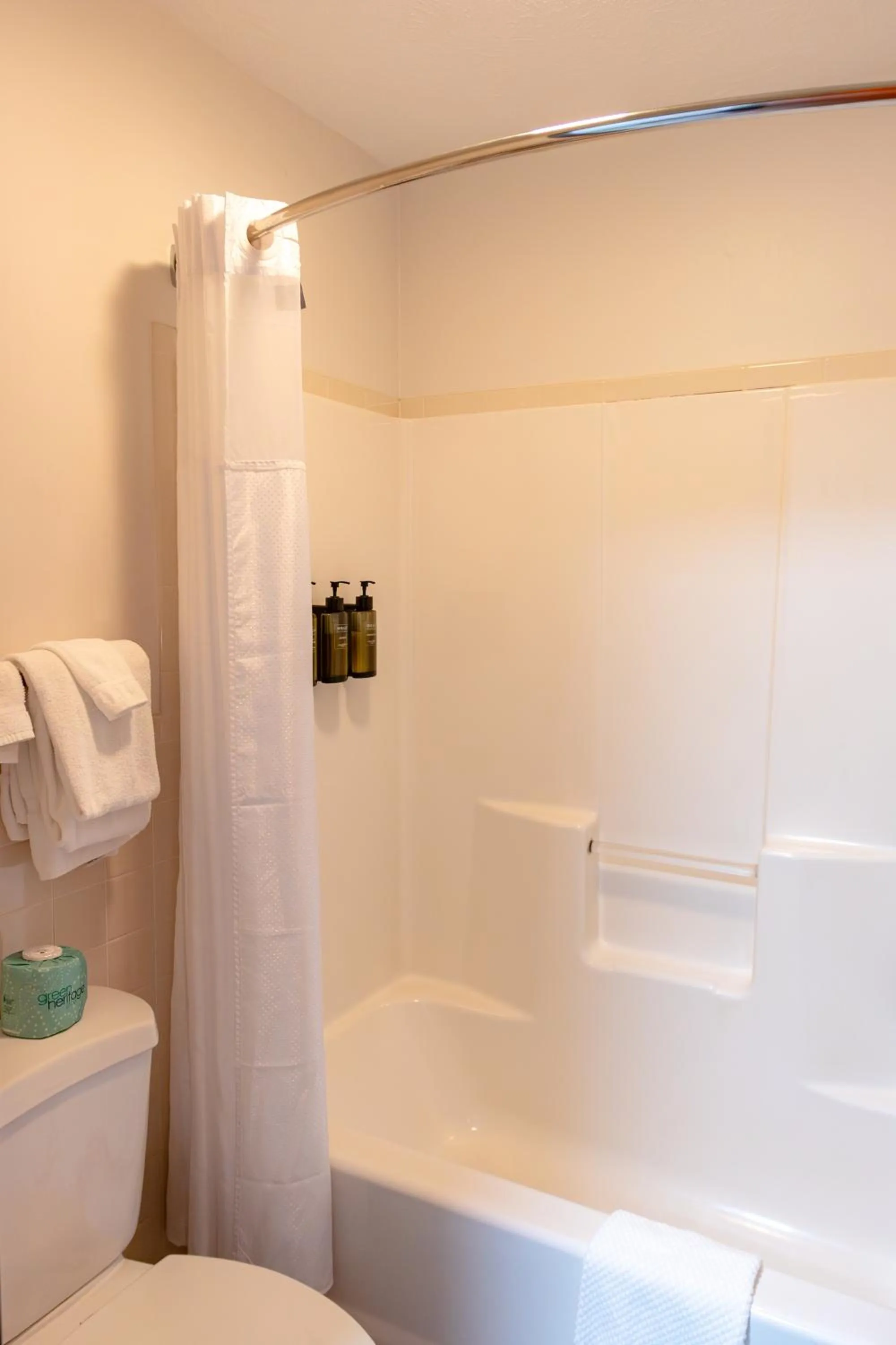 Shower in Townsend River Breeze Inn