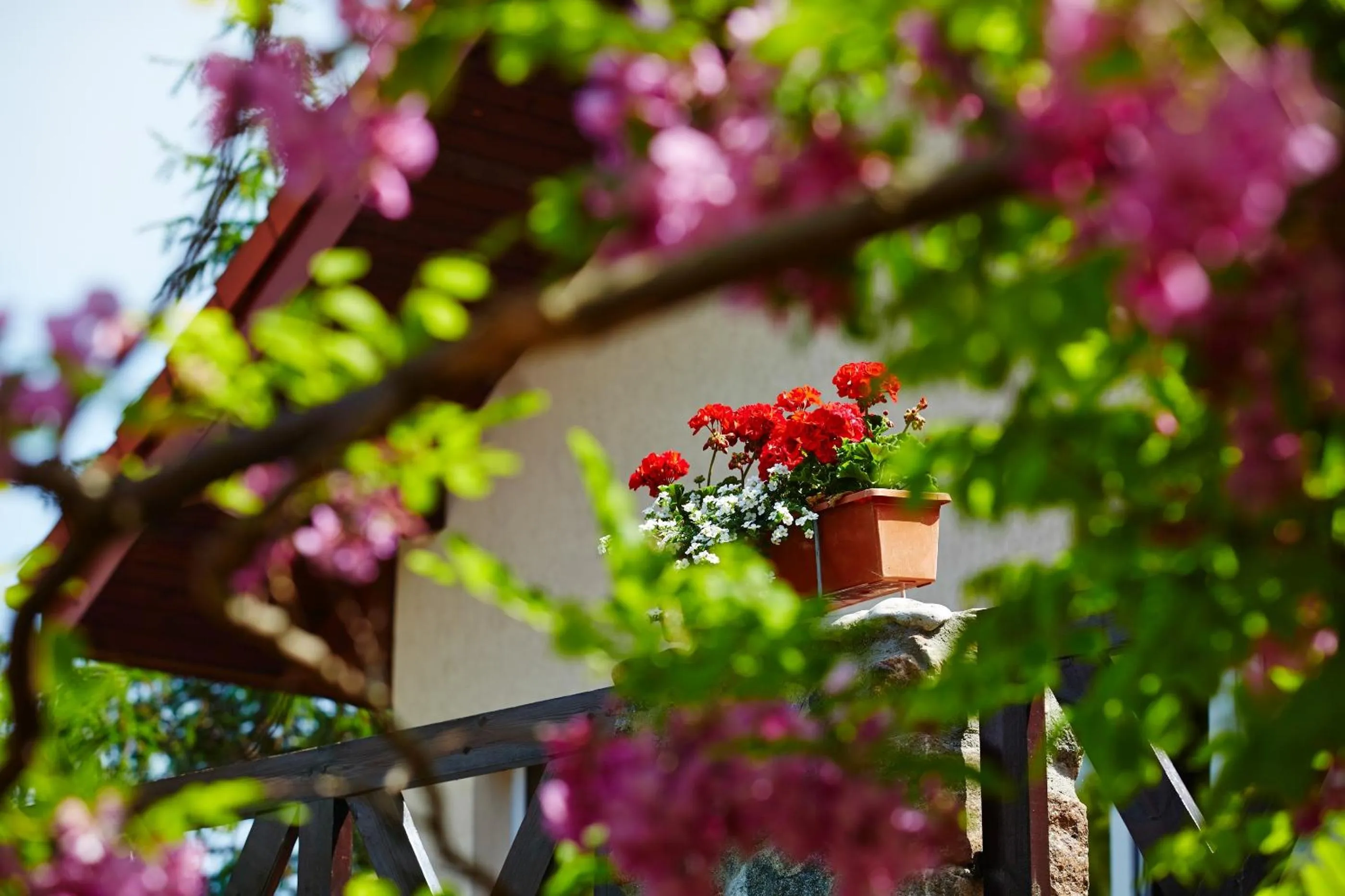 Garden in Kormoran Medispa