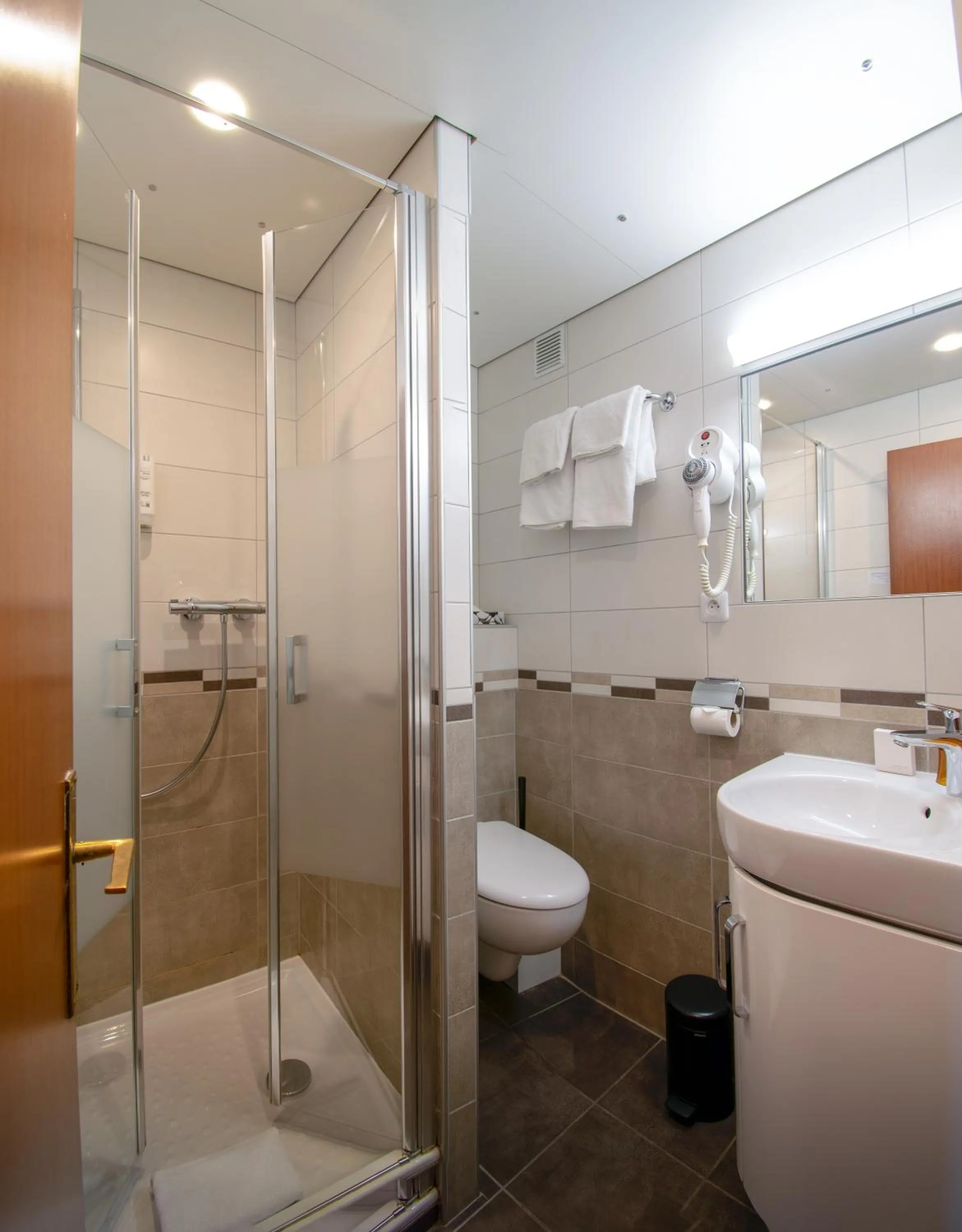 Shower in Hôtel-Restaurant Le Lac