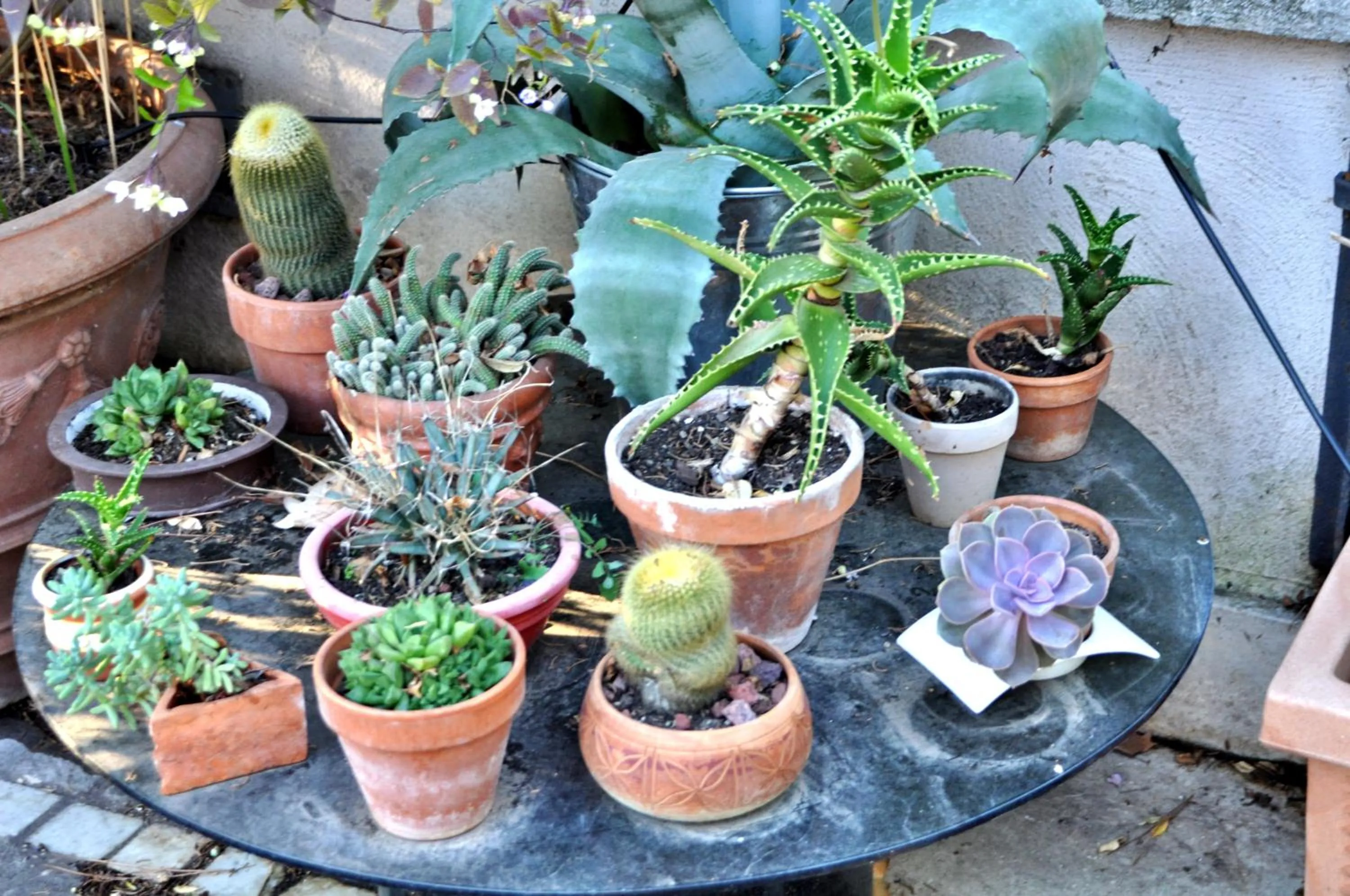Balcony/Terrace in Il Boom B&B