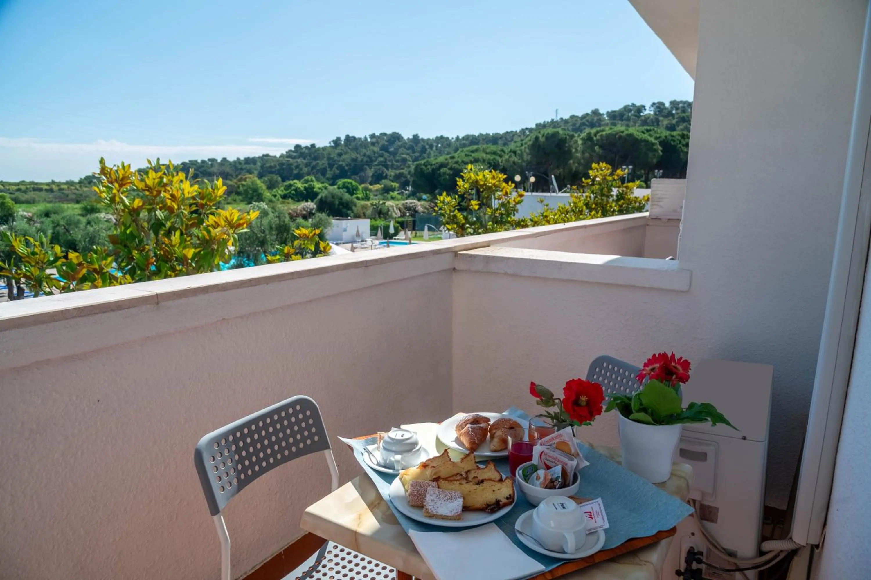 View (from property/room) in Hotel Mira